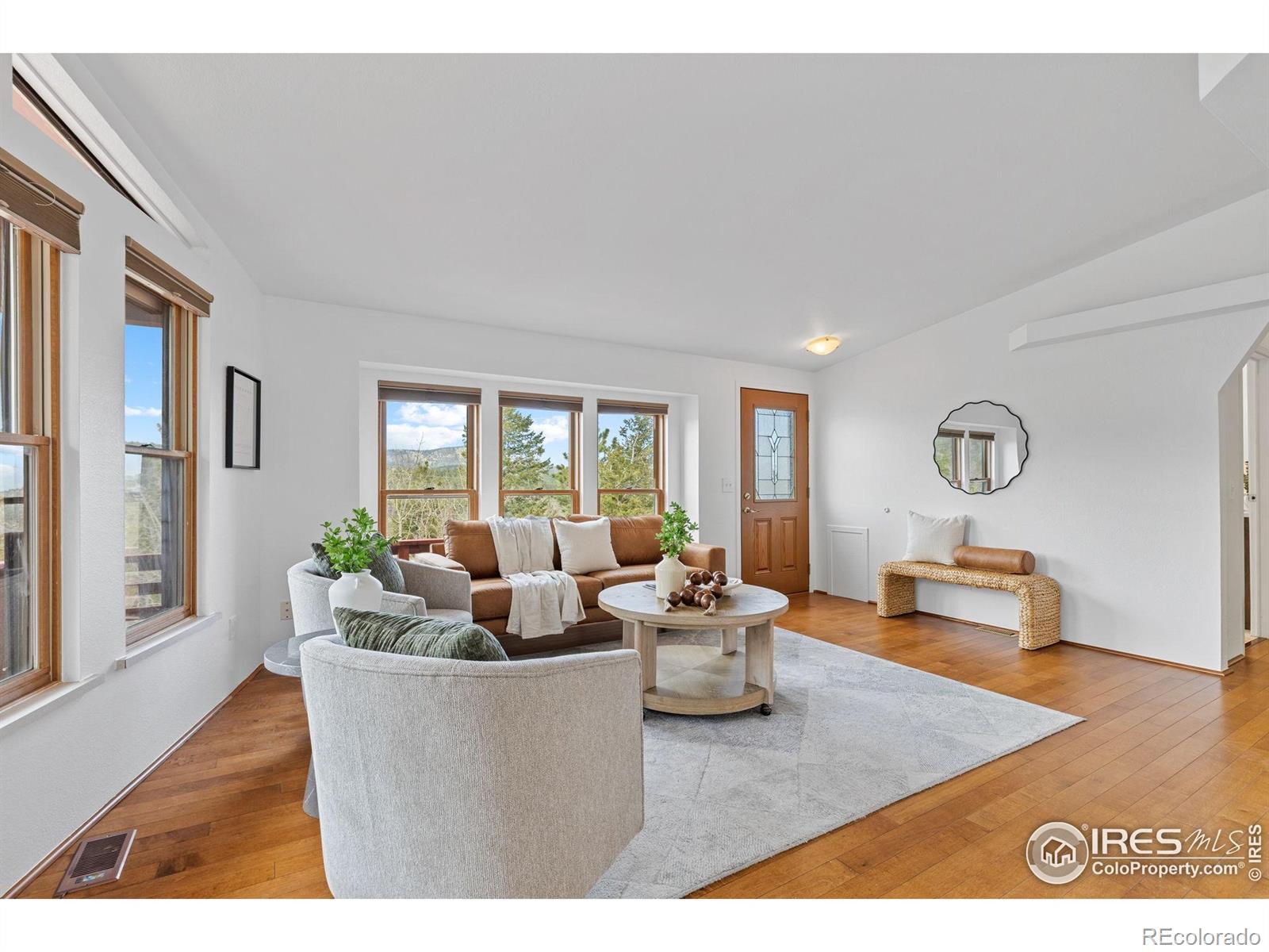 MLS Image #11 for 880  hummer drive,nederland, Colorado