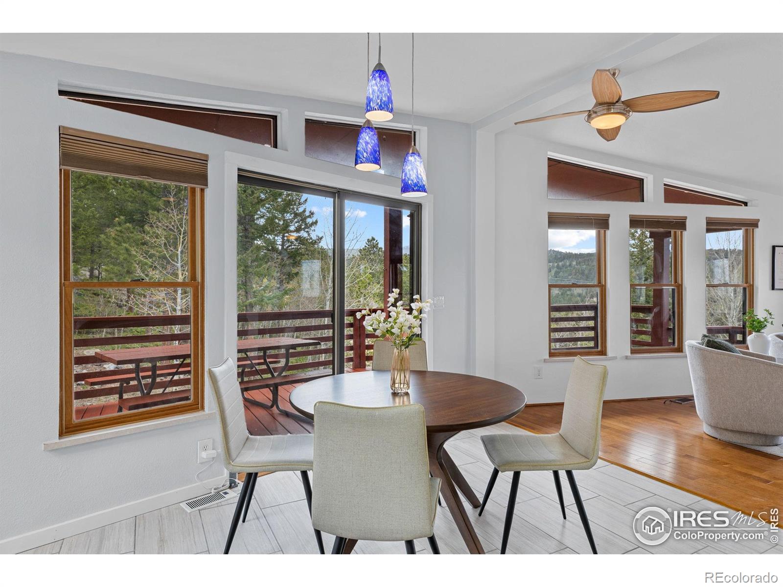 MLS Image #12 for 880  hummer drive,nederland, Colorado