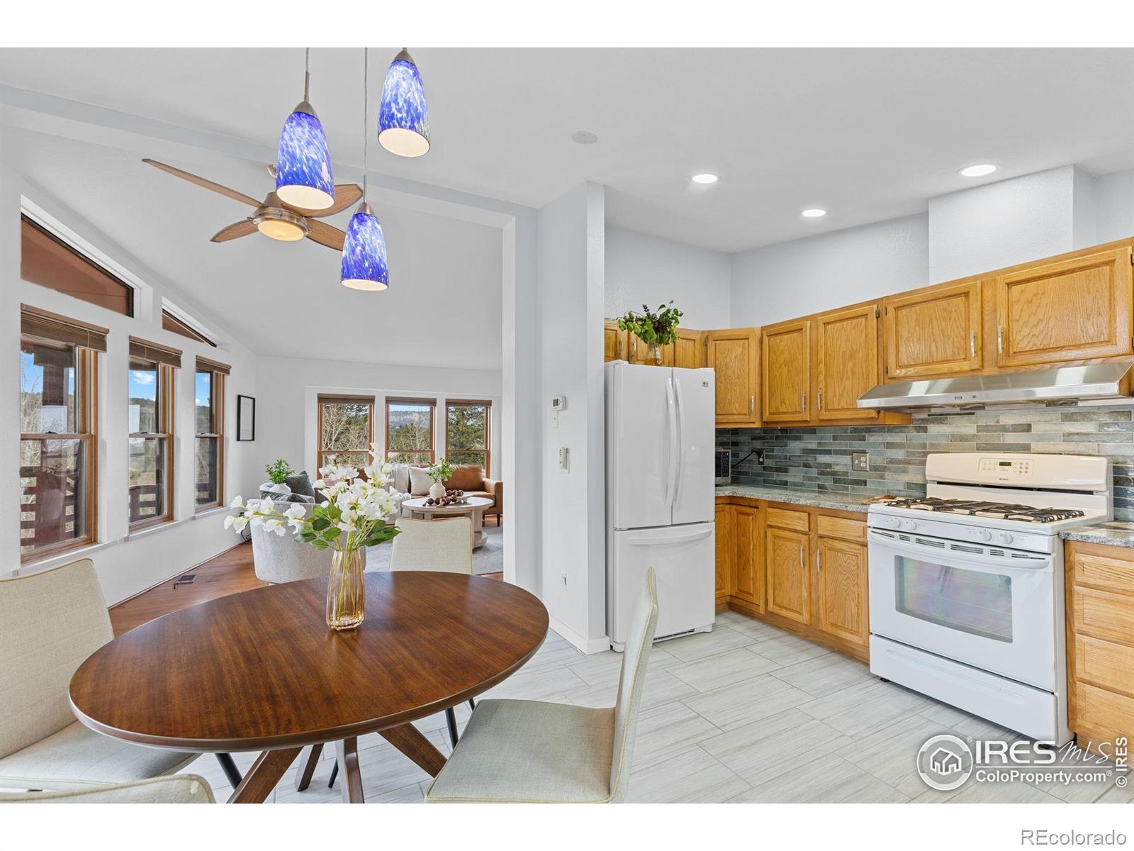 MLS Image #14 for 880  hummer drive,nederland, Colorado