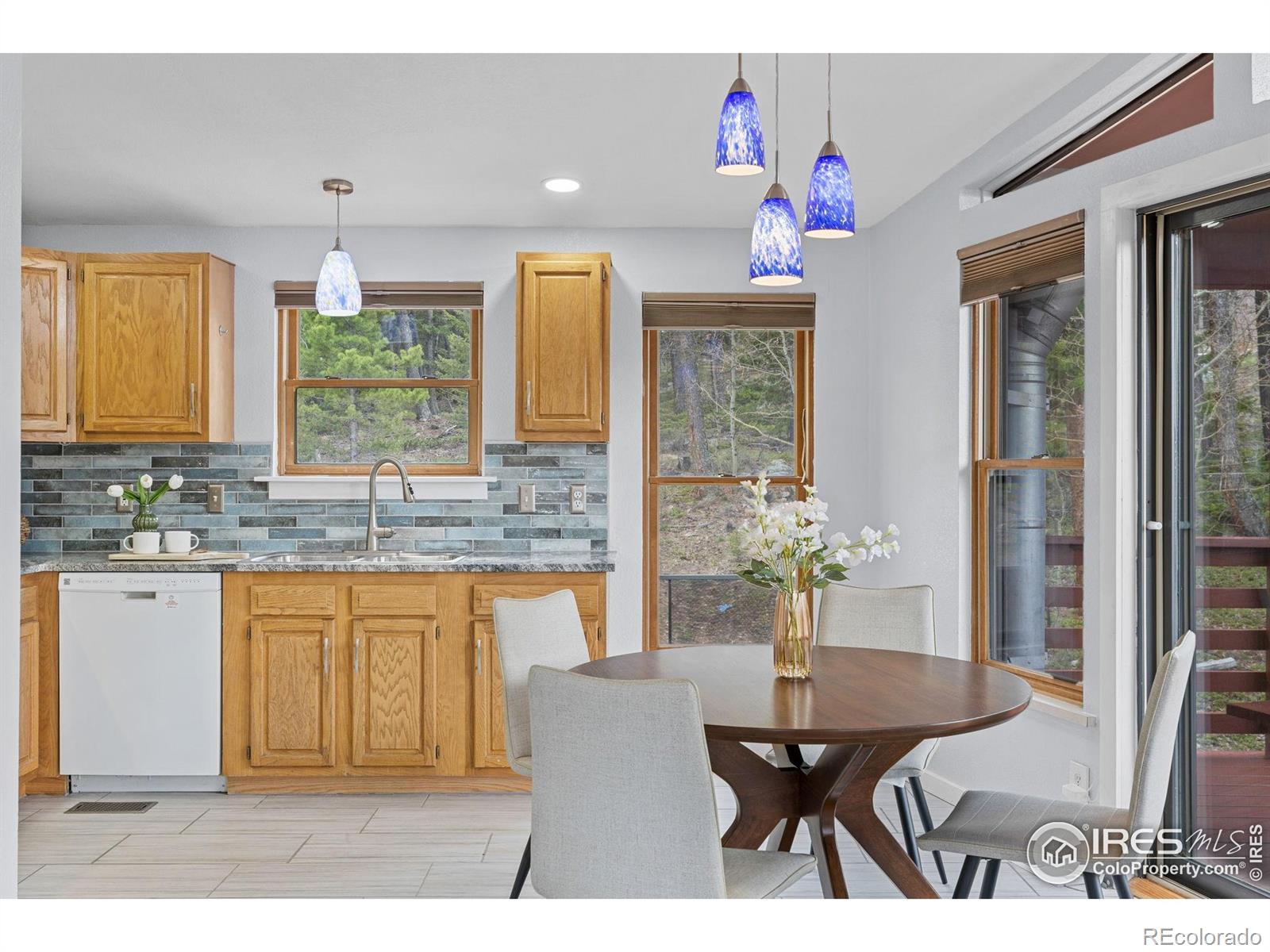 MLS Image #15 for 880  hummer drive,nederland, Colorado