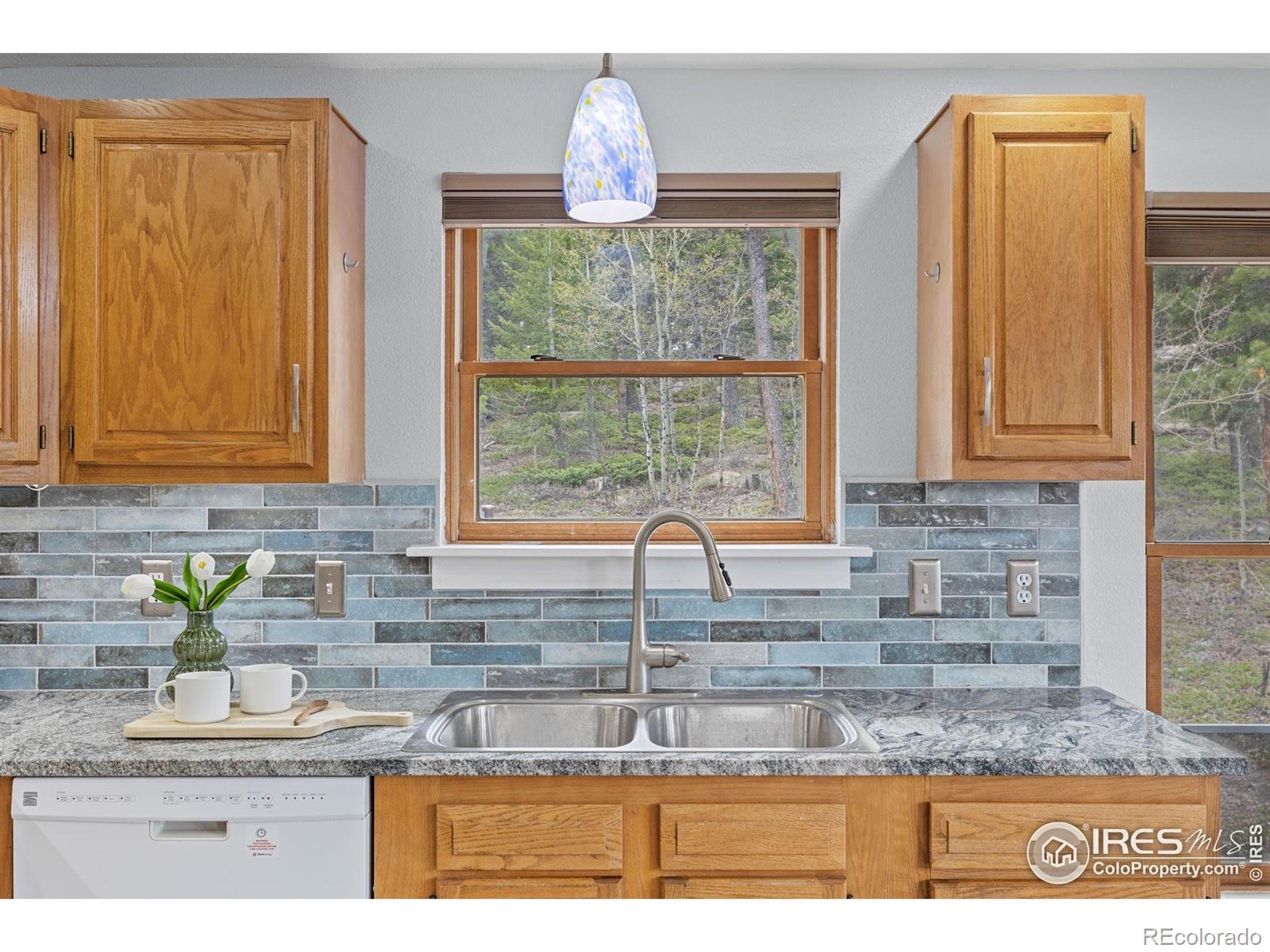 MLS Image #17 for 880  hummer drive,nederland, Colorado