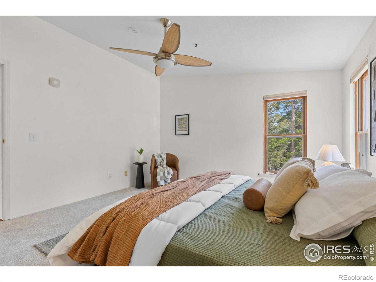 MLS Image #20 for 880  hummer drive,nederland, Colorado