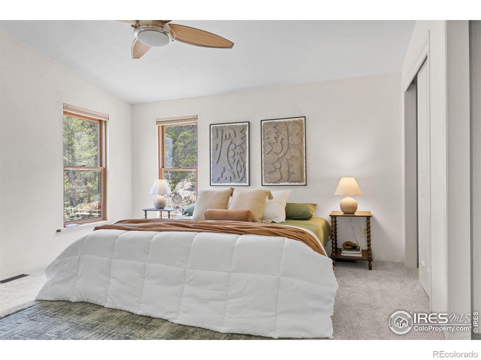 MLS Image #21 for 880  hummer drive,nederland, Colorado