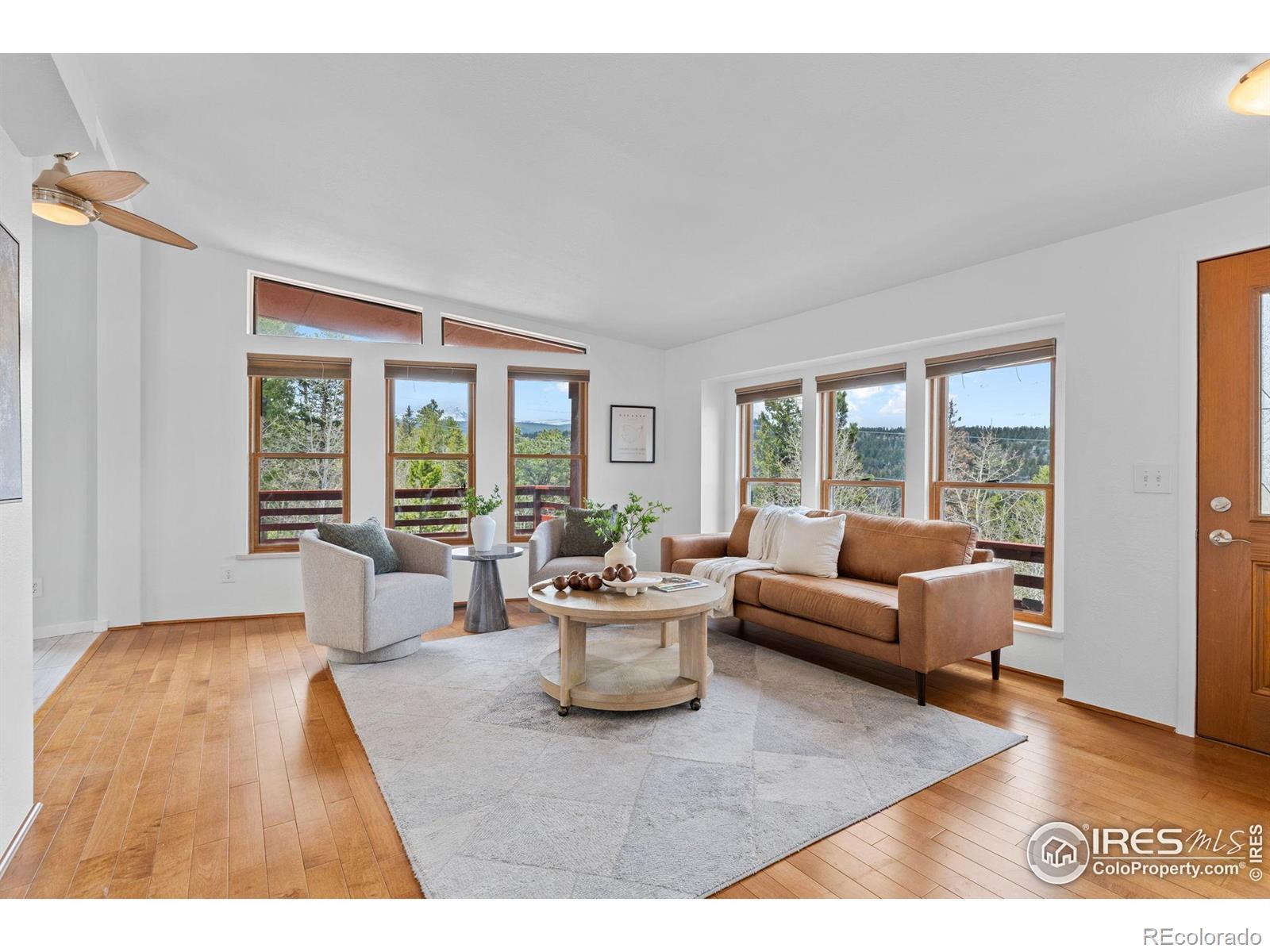 MLS Image #5 for 880  hummer drive,nederland, Colorado