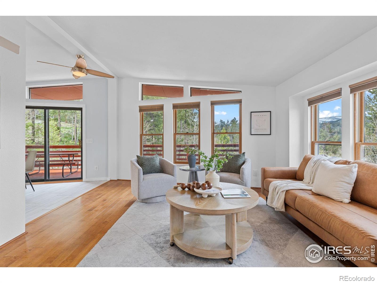 MLS Image #6 for 880  hummer drive,nederland, Colorado