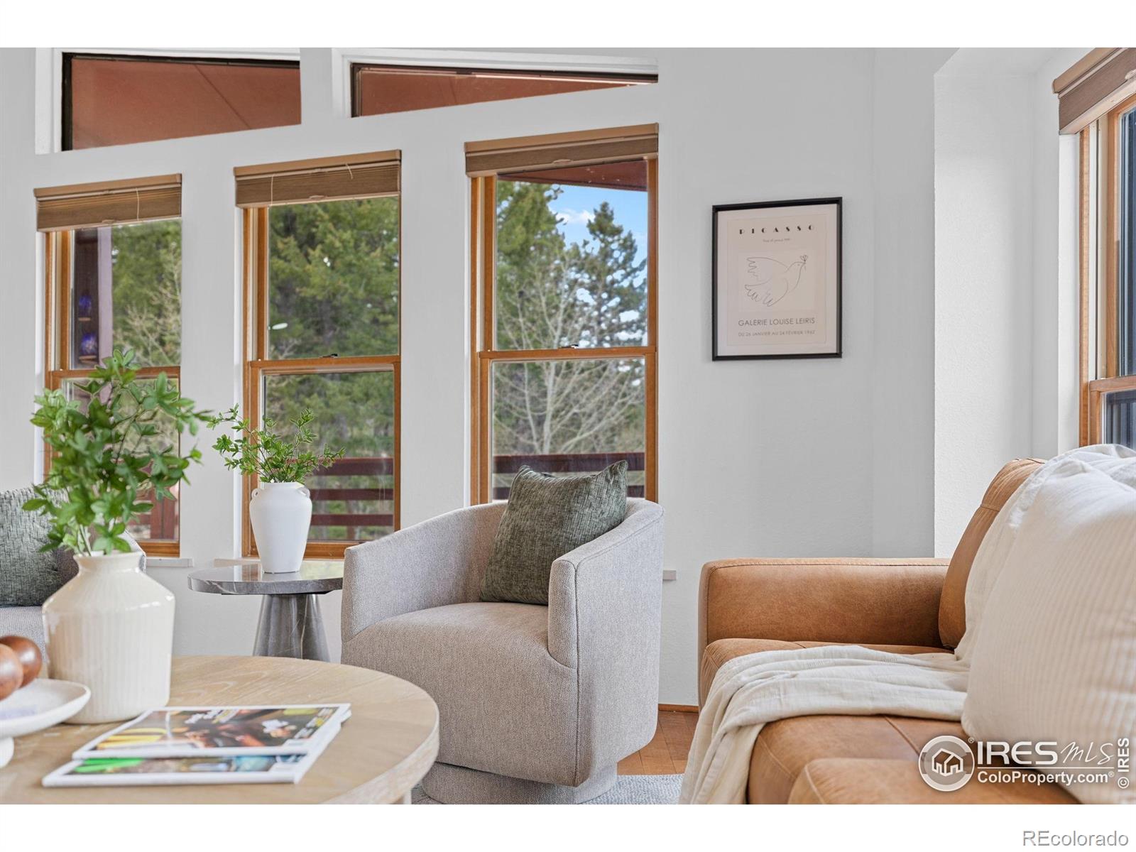 MLS Image #9 for 880  hummer drive,nederland, Colorado
