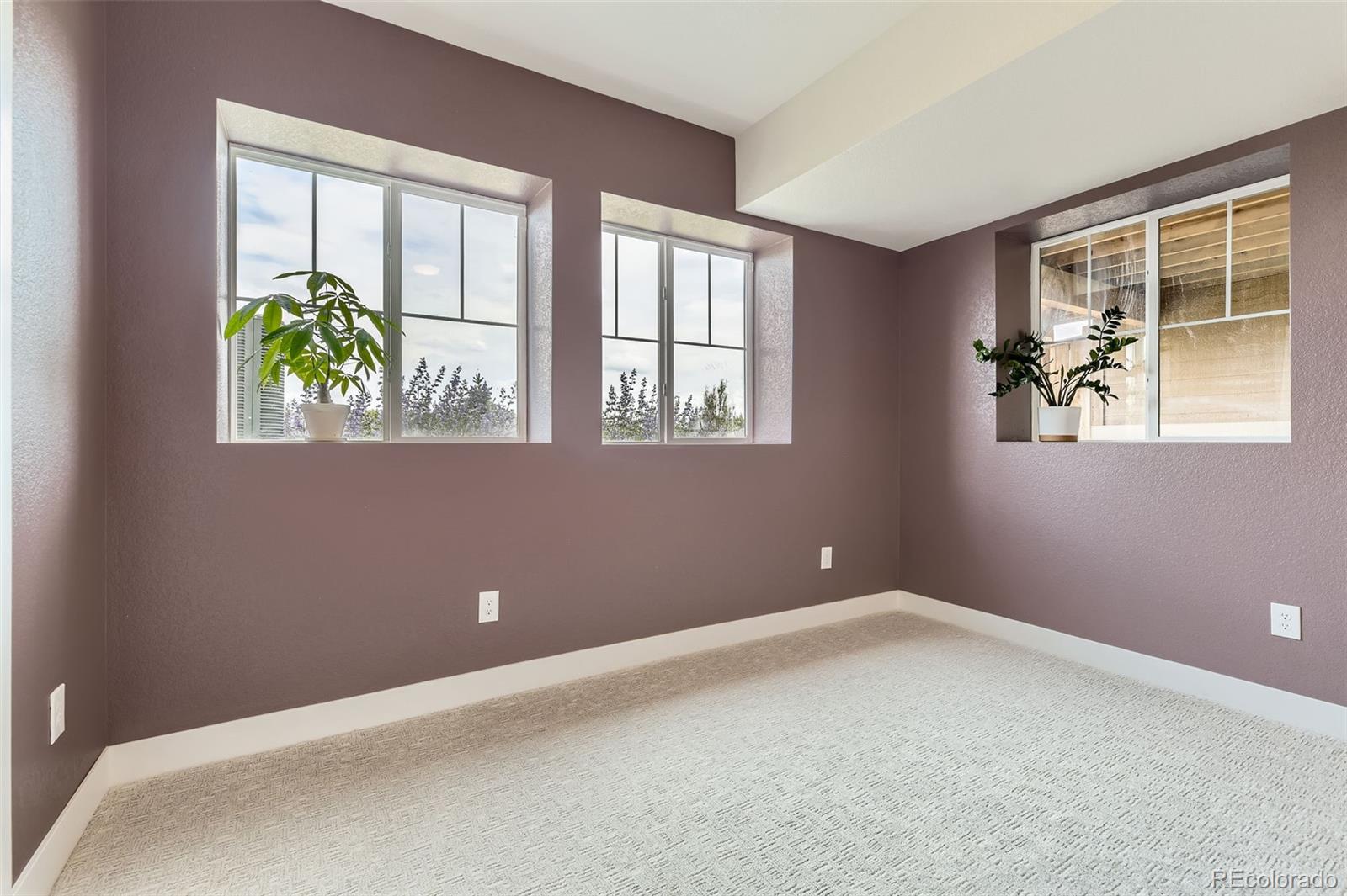 MLS Image #17 for 8982  spaulding street,parker, Colorado