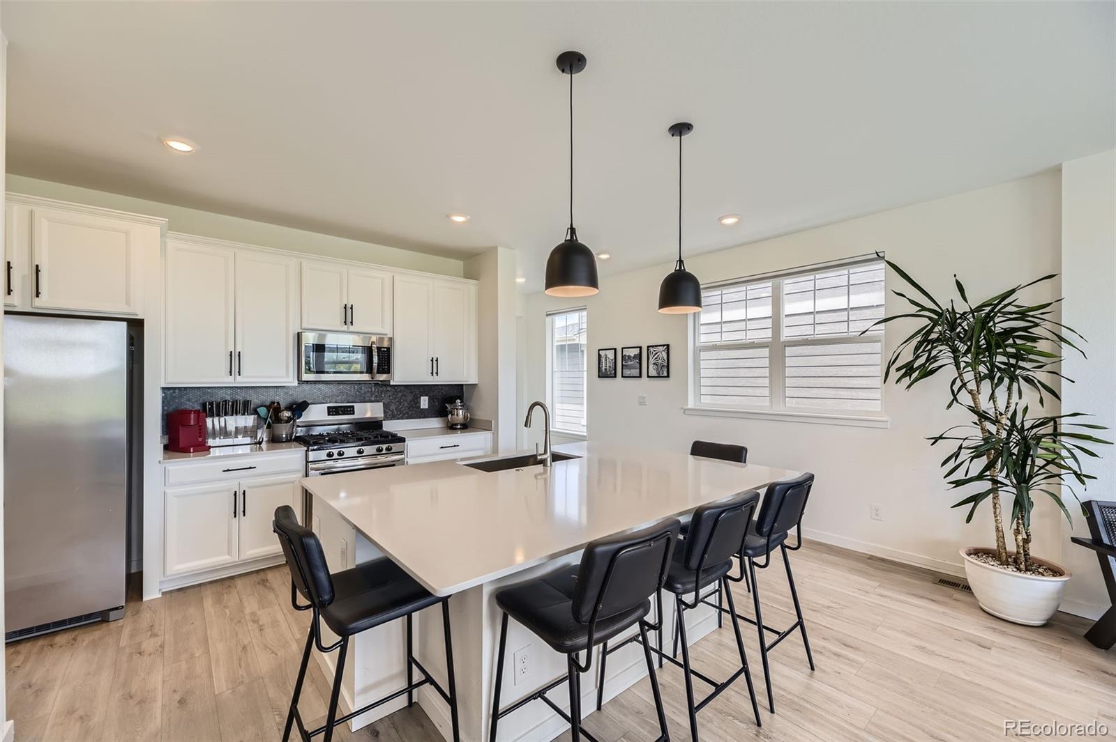 MLS Image #3 for 8982  spaulding street,parker, Colorado