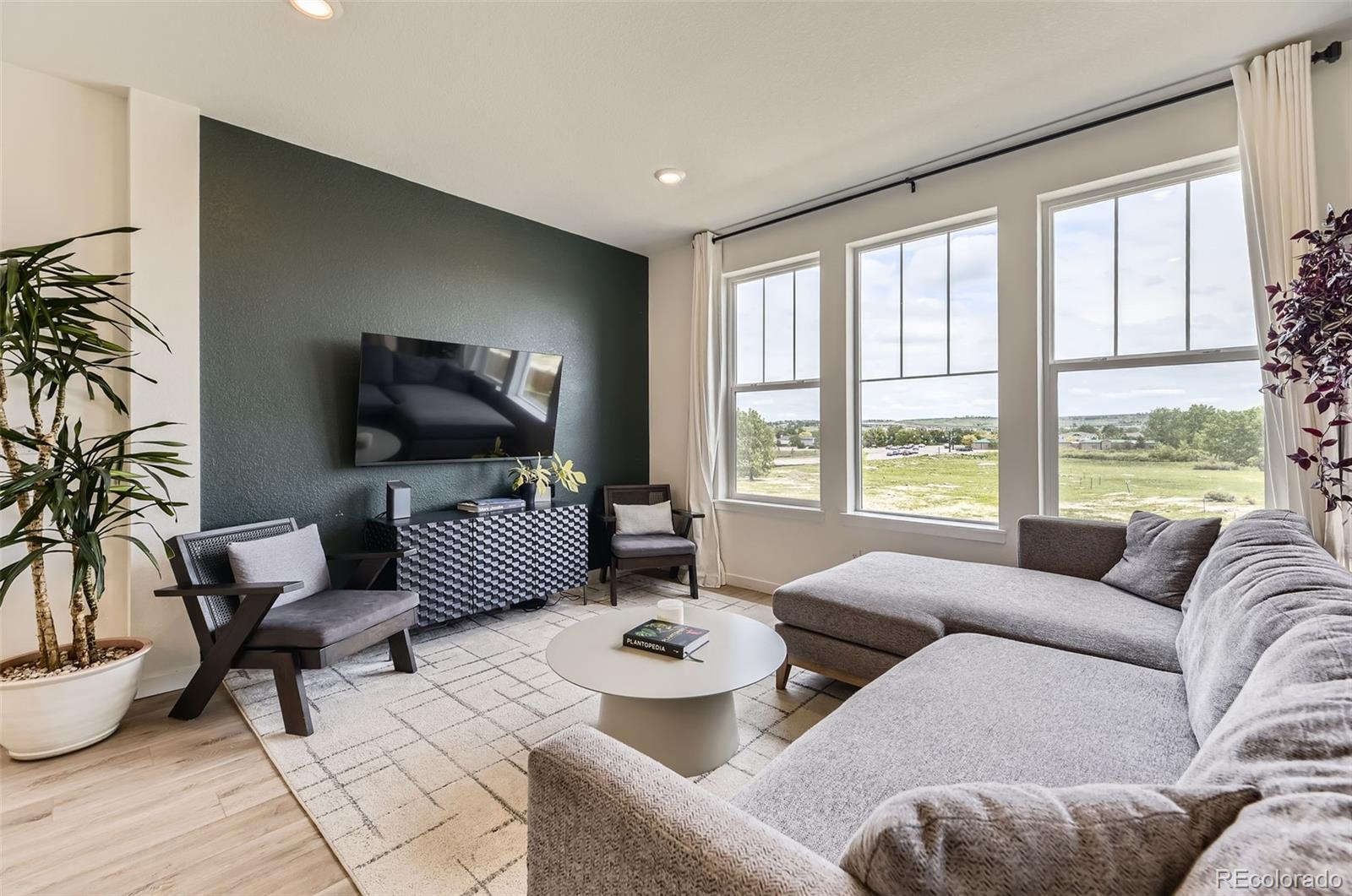 MLS Image #6 for 8982  spaulding street,parker, Colorado