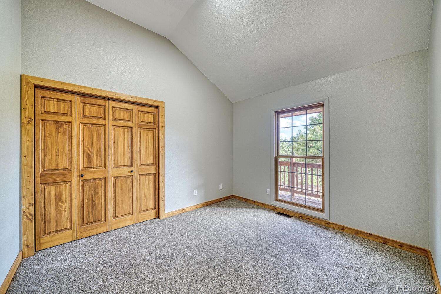 MLS Image #15 for 318  southgate road,florissant, Colorado