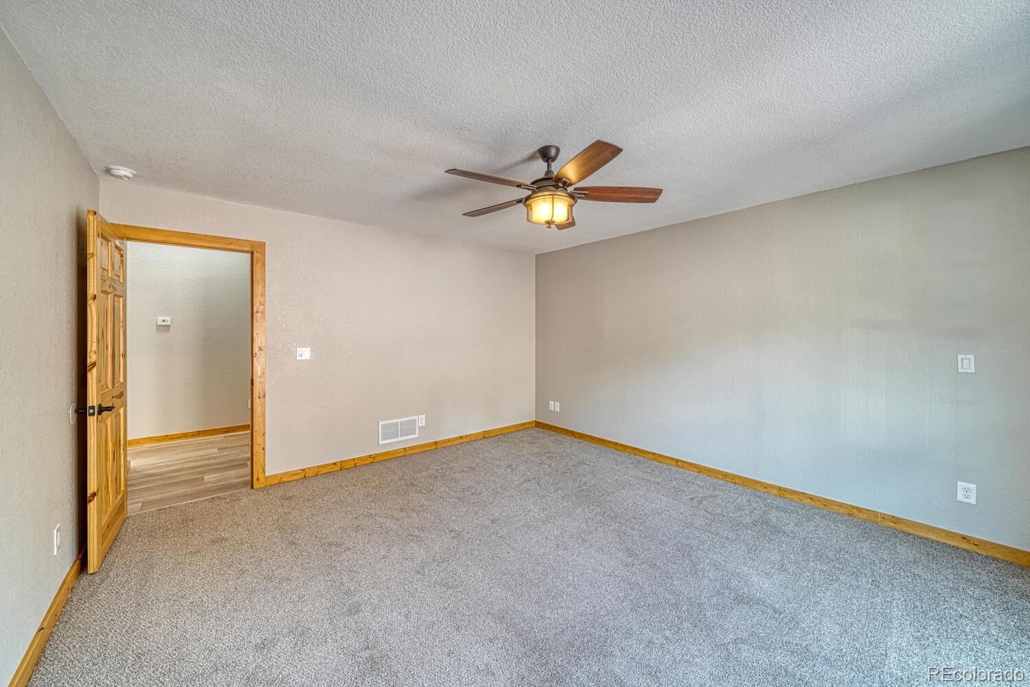 MLS Image #21 for 318  southgate road,florissant, Colorado