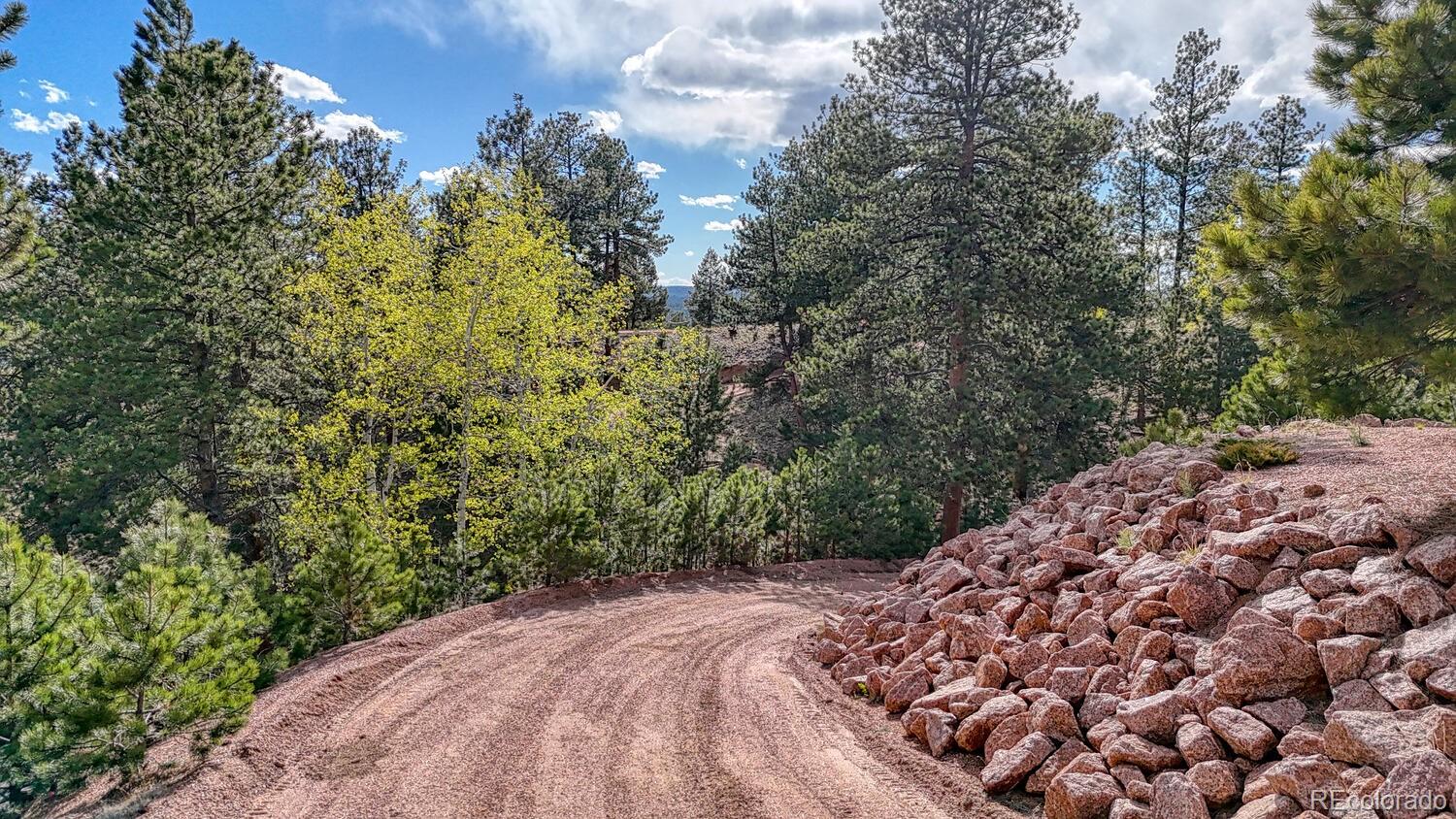 MLS Image #39 for 318  southgate road,florissant, Colorado