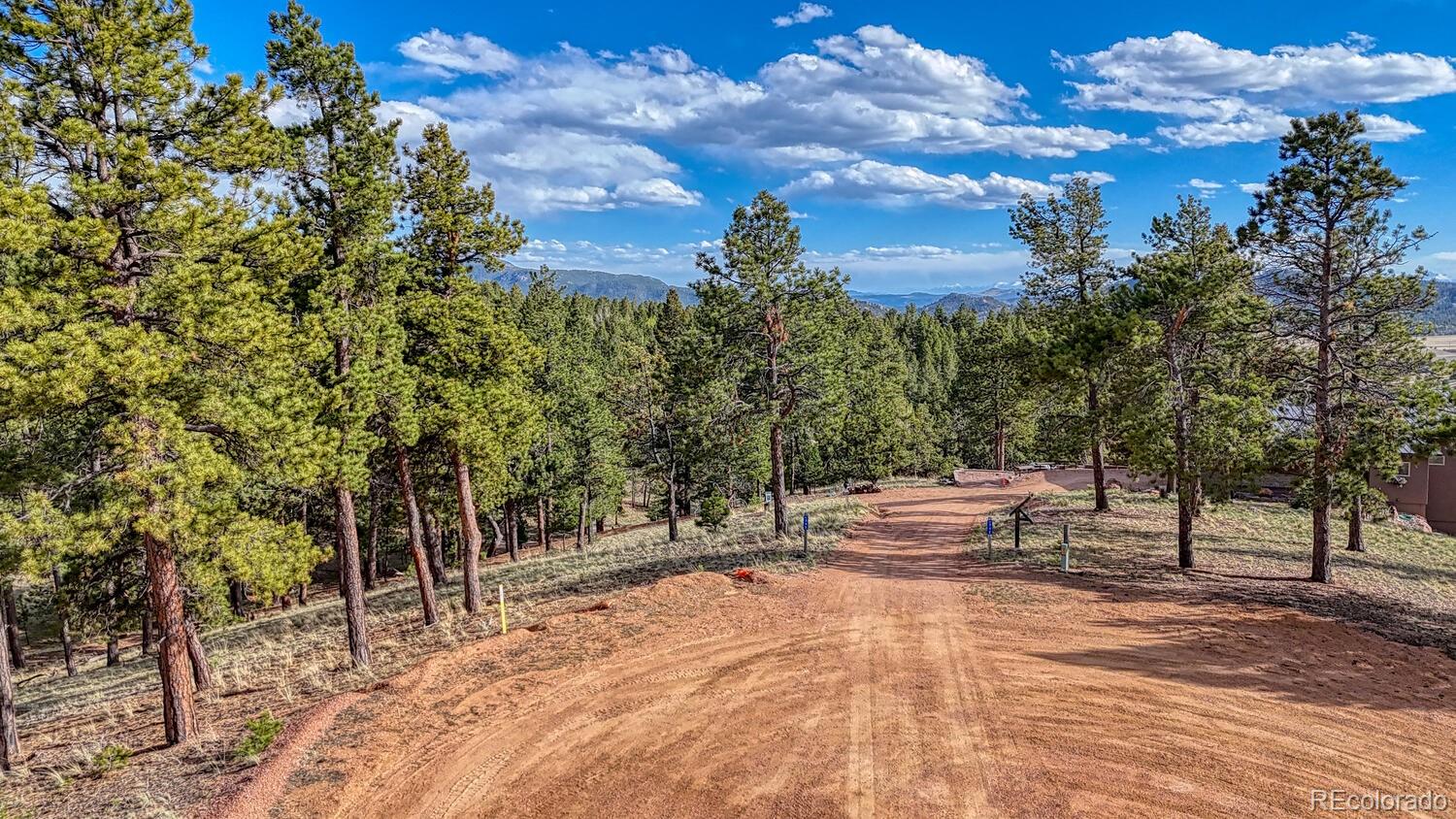 MLS Image #41 for 318  southgate road,florissant, Colorado