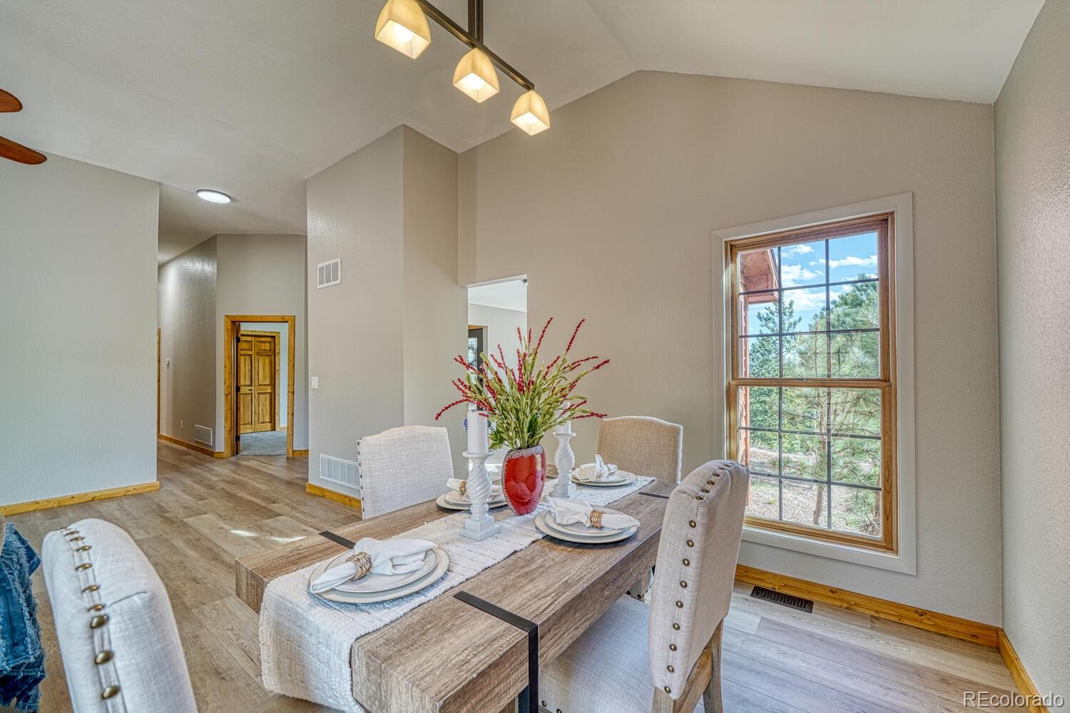 MLS Image #5 for 318  southgate road,florissant, Colorado
