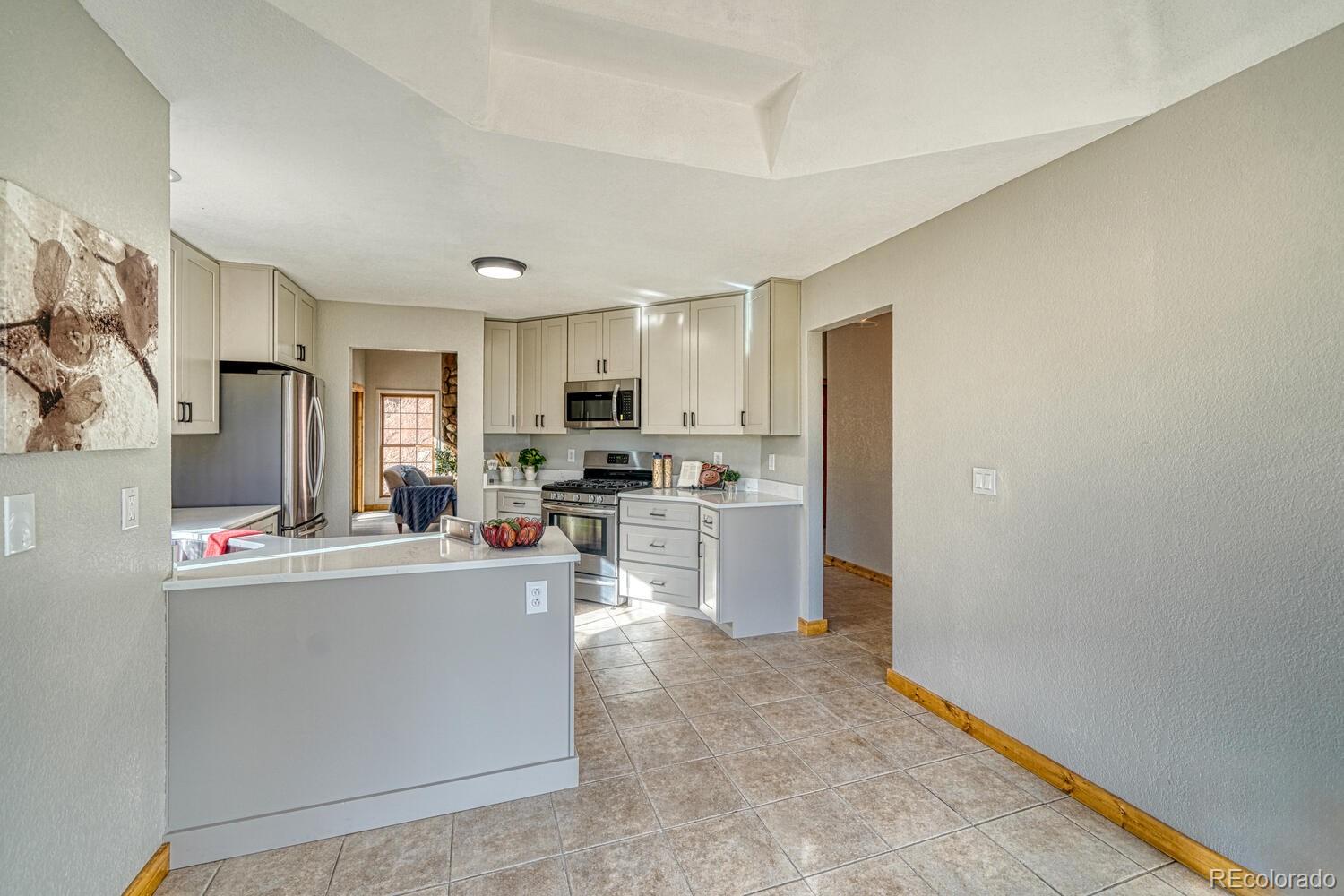 MLS Image #9 for 318  southgate road,florissant, Colorado