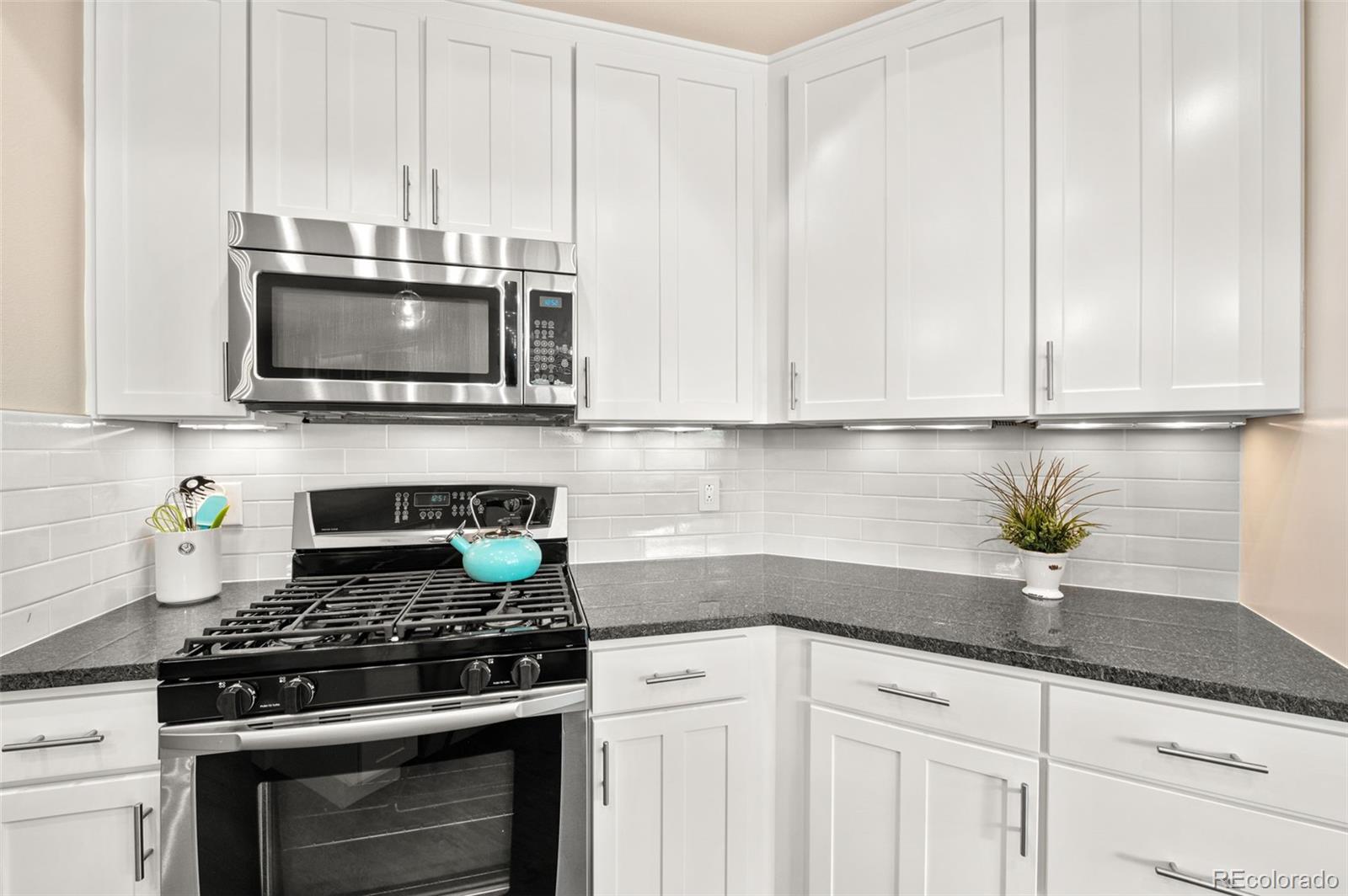 MLS Image #10 for 1100 n grant street,denver, Colorado