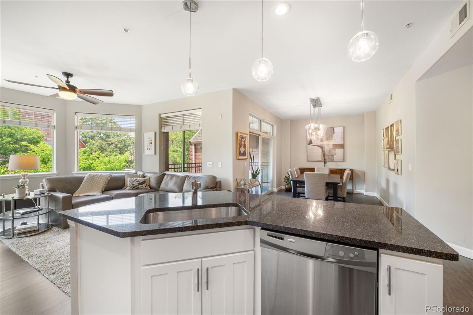 MLS Image #11 for 1100 n grant street,denver, Colorado