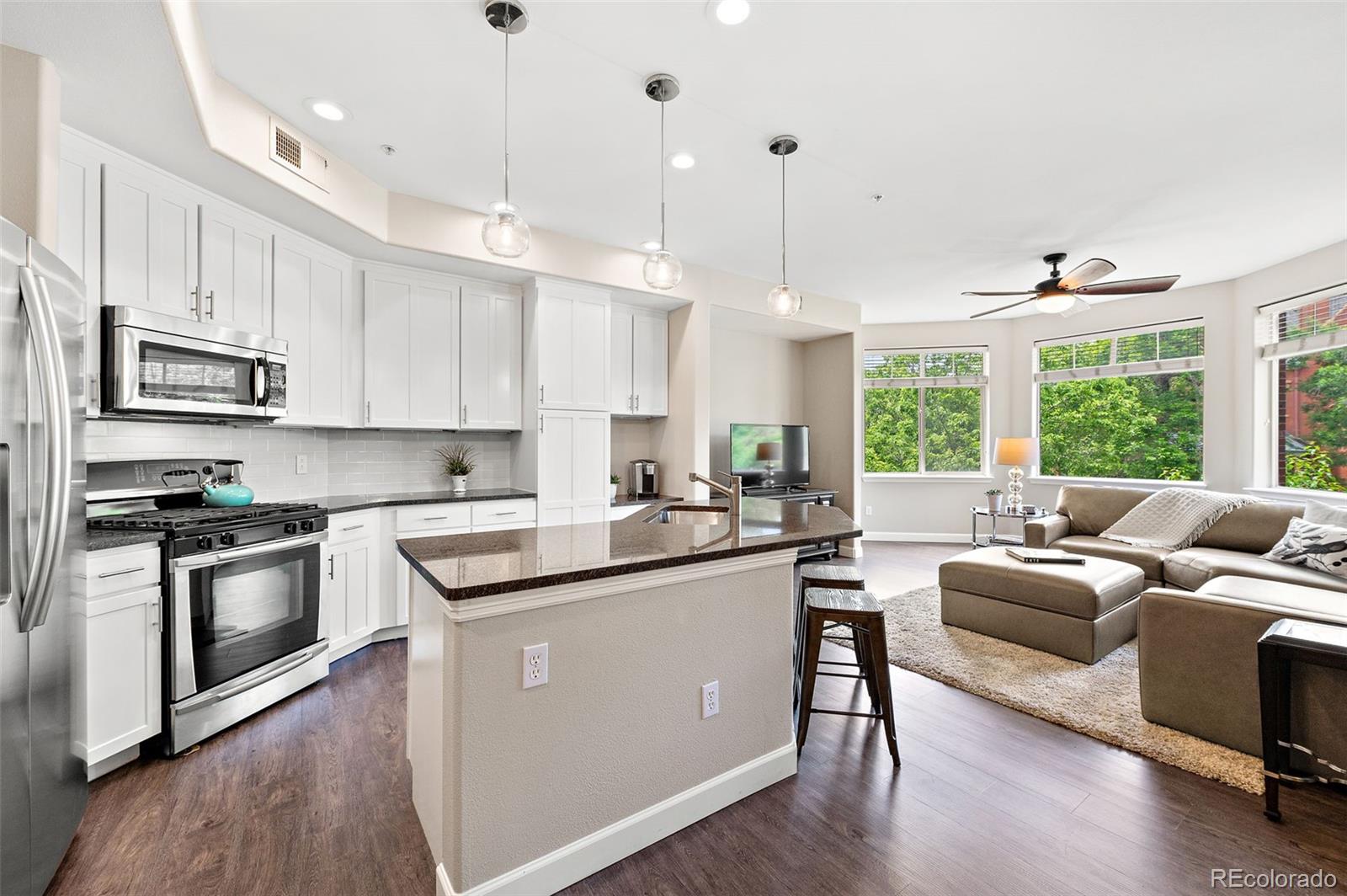MLS Image #7 for 1100 n grant street,denver, Colorado