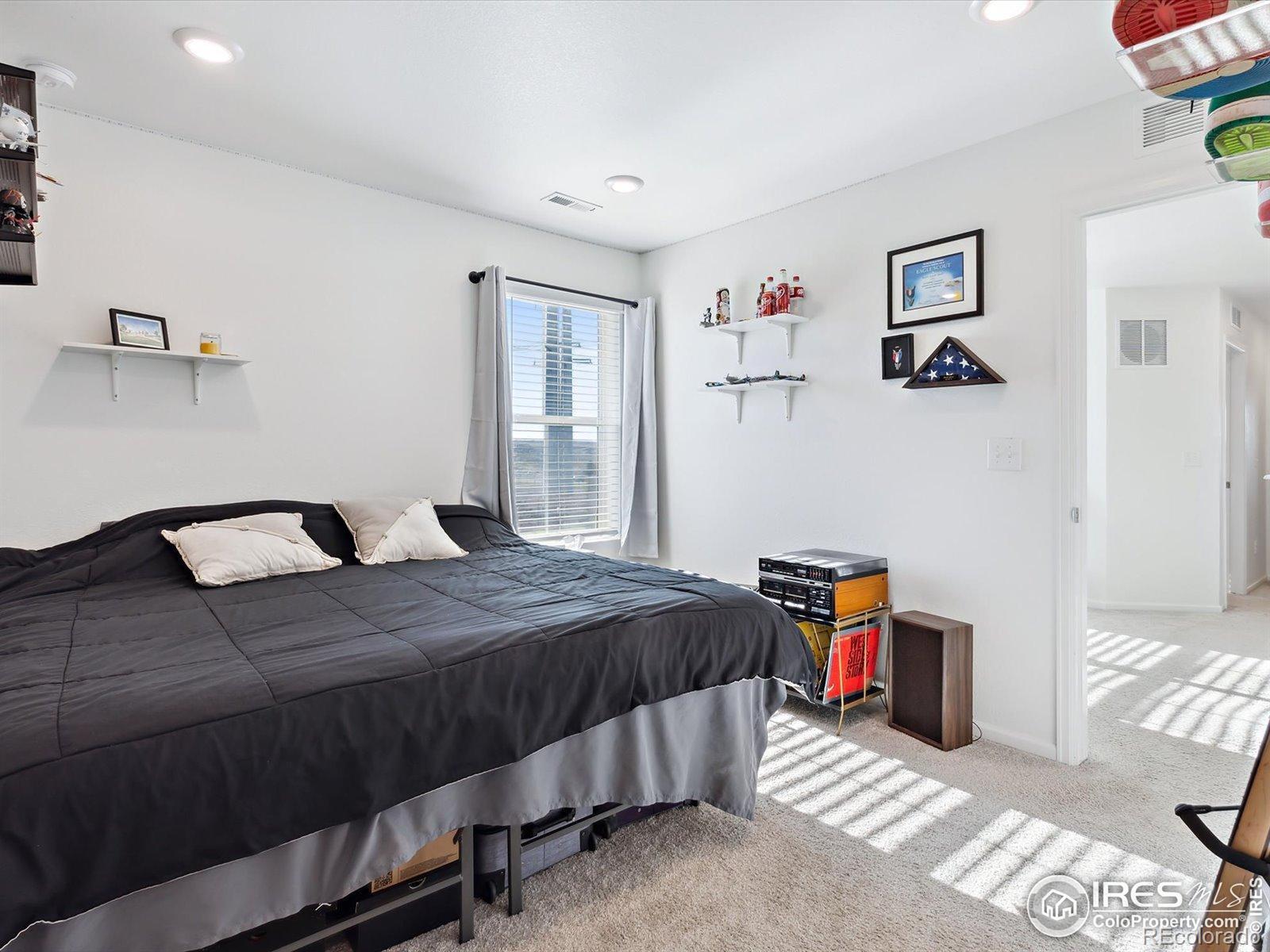 MLS Image #18 for 17616  bluetrail avenue,parker, Colorado