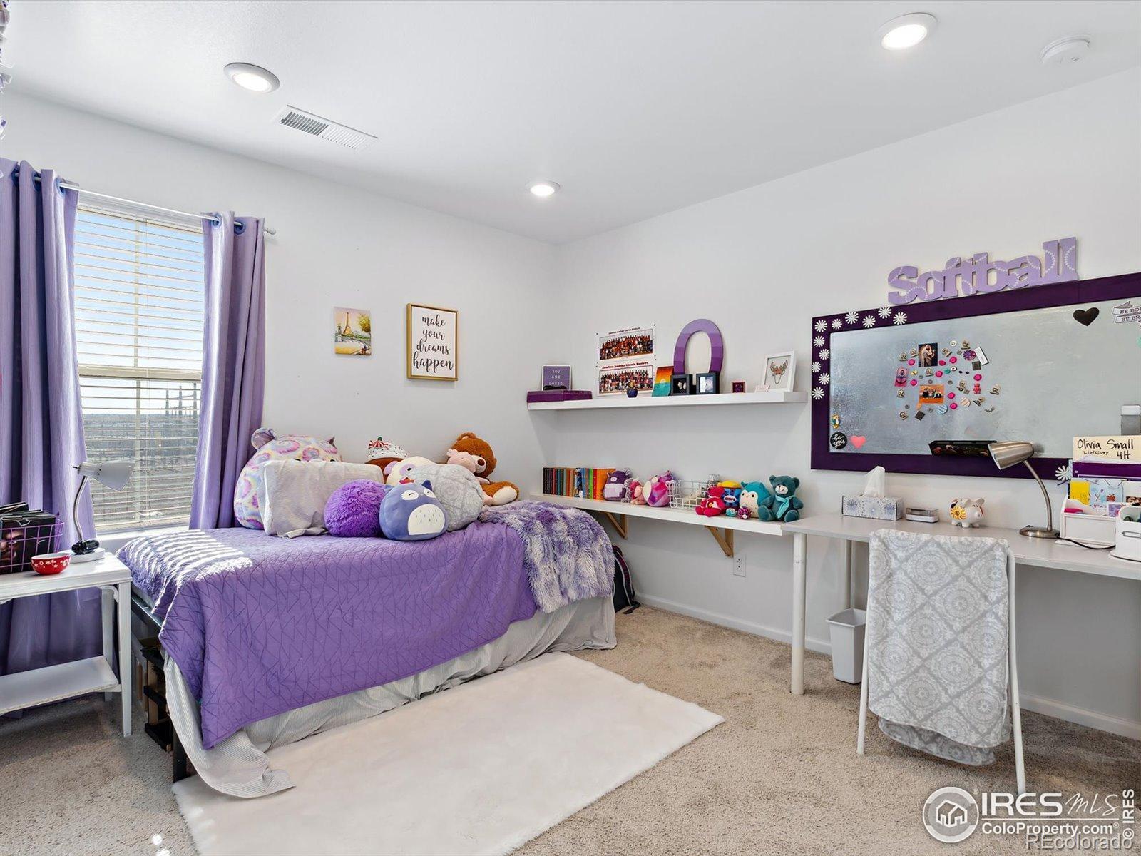 MLS Image #22 for 17616  bluetrail avenue,parker, Colorado