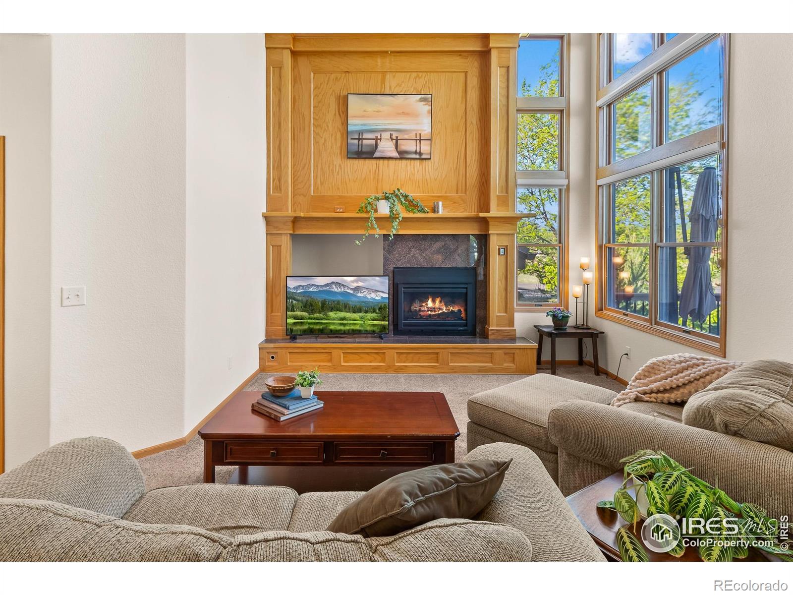 MLS Image #10 for 3020  blue mountain court,loveland, Colorado