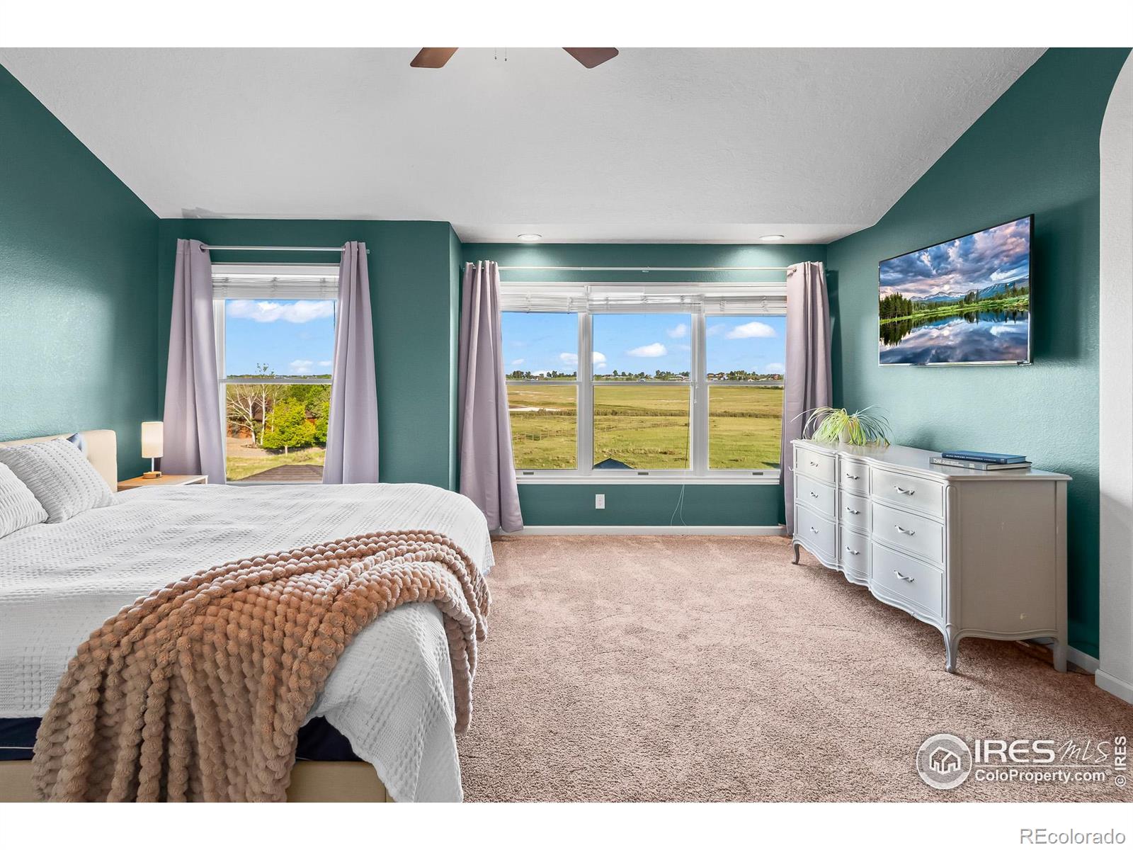 MLS Image #14 for 3020  blue mountain court,loveland, Colorado