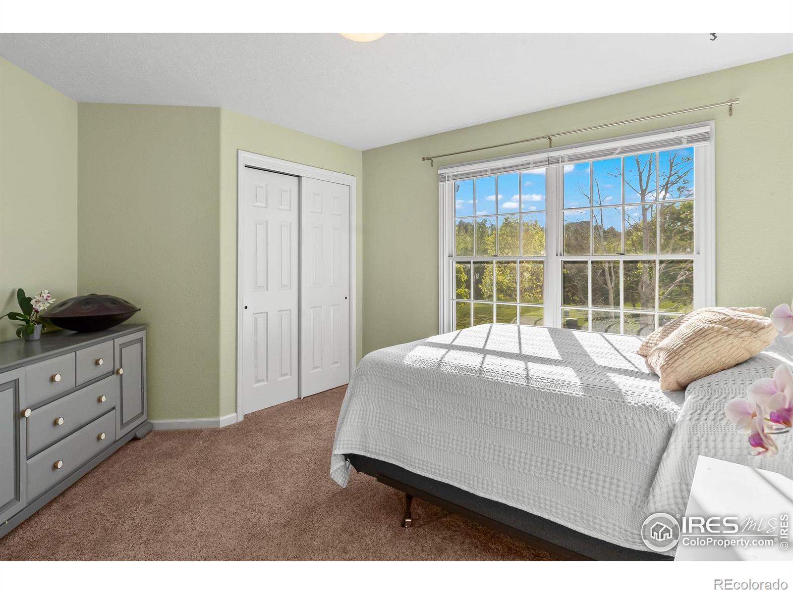 MLS Image #19 for 3020  blue mountain court,loveland, Colorado