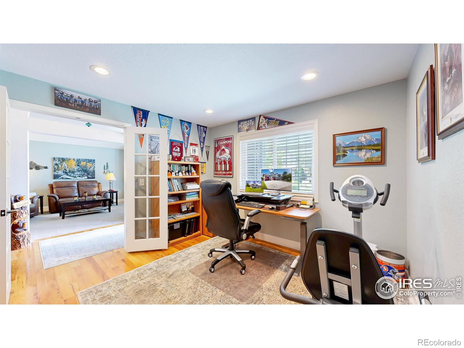 MLS Image #15 for 445  whitney harbor,windsor, Colorado