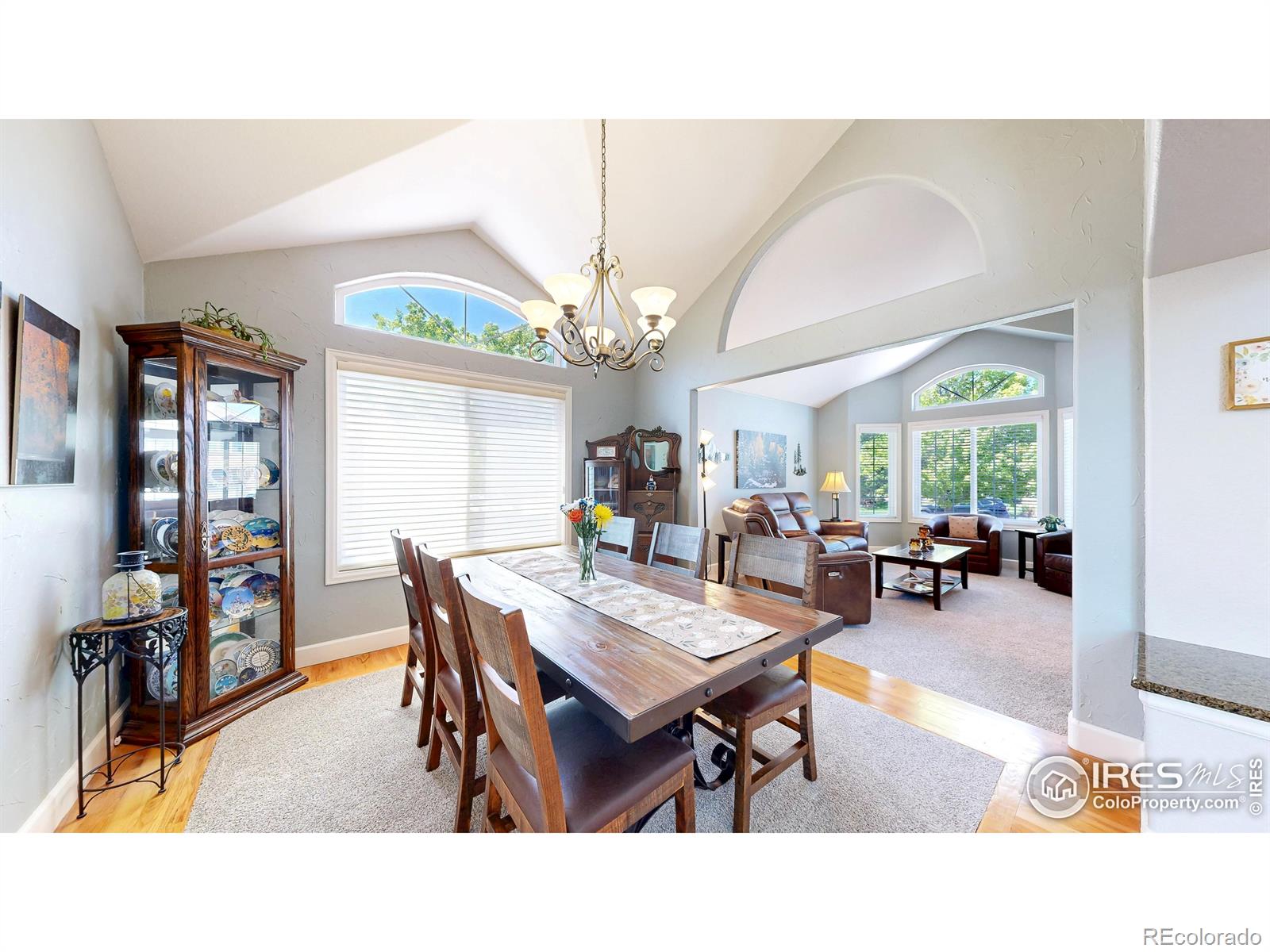 MLS Image #6 for 445  whitney harbor,windsor, Colorado