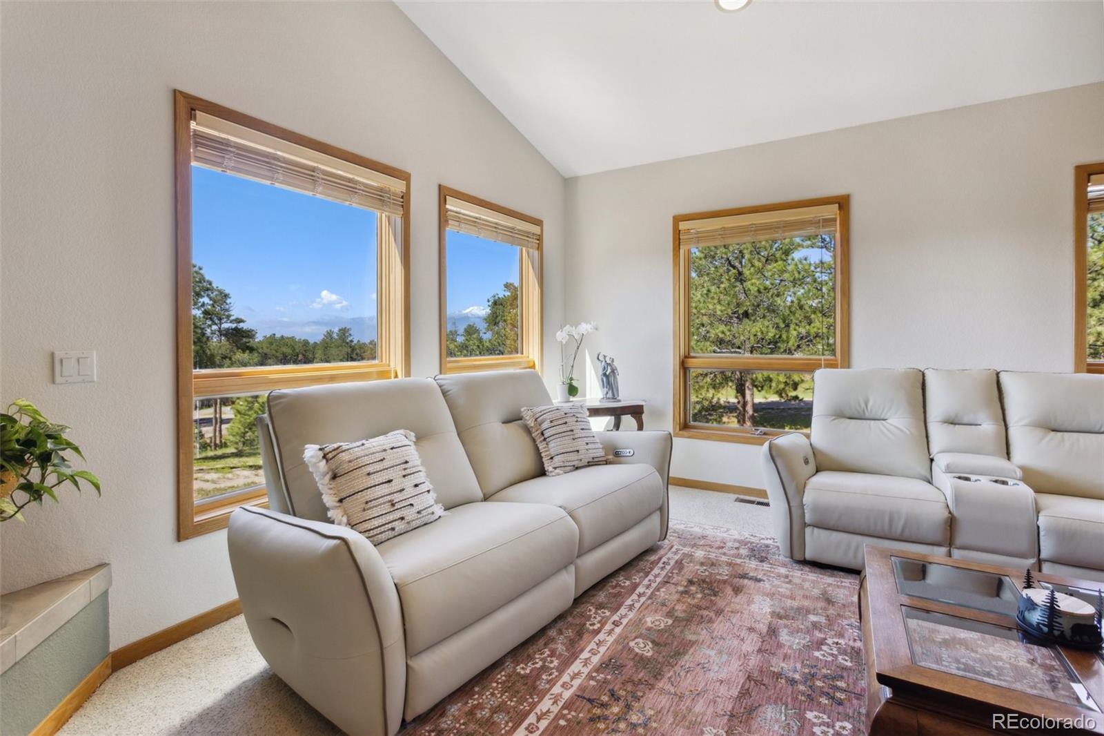 MLS Image #22 for 17575  minglewood trail,monument, Colorado