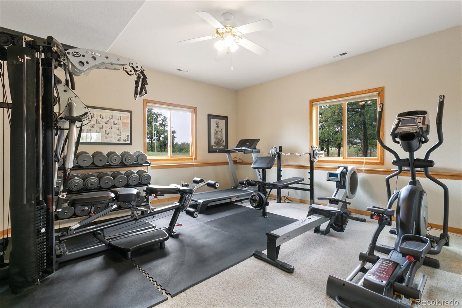MLS Image #44 for 17575  minglewood trail,monument, Colorado