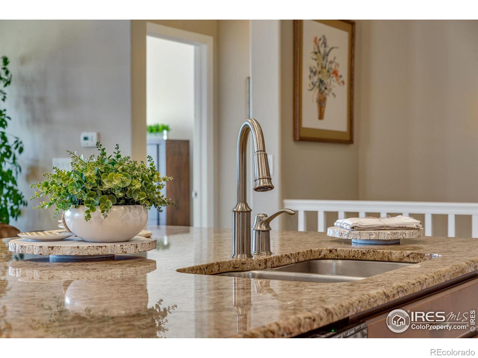 MLS Image #10 for 4000  donnington circle,castle rock, Colorado