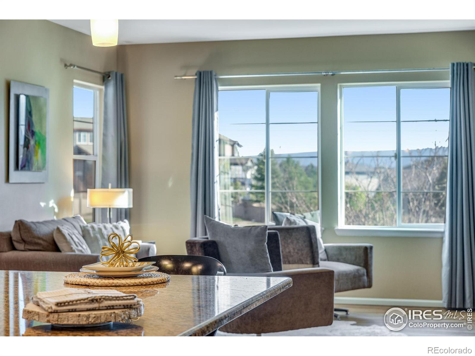 MLS Image #13 for 4000  donnington circle,castle rock, Colorado