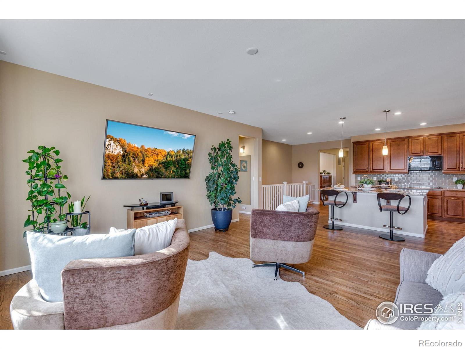 MLS Image #21 for 4000  donnington circle,castle rock, Colorado
