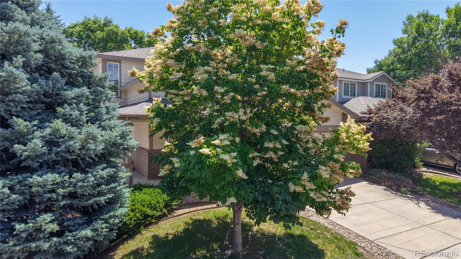 MLS Image #29 for 10532  madison street,thornton, Colorado