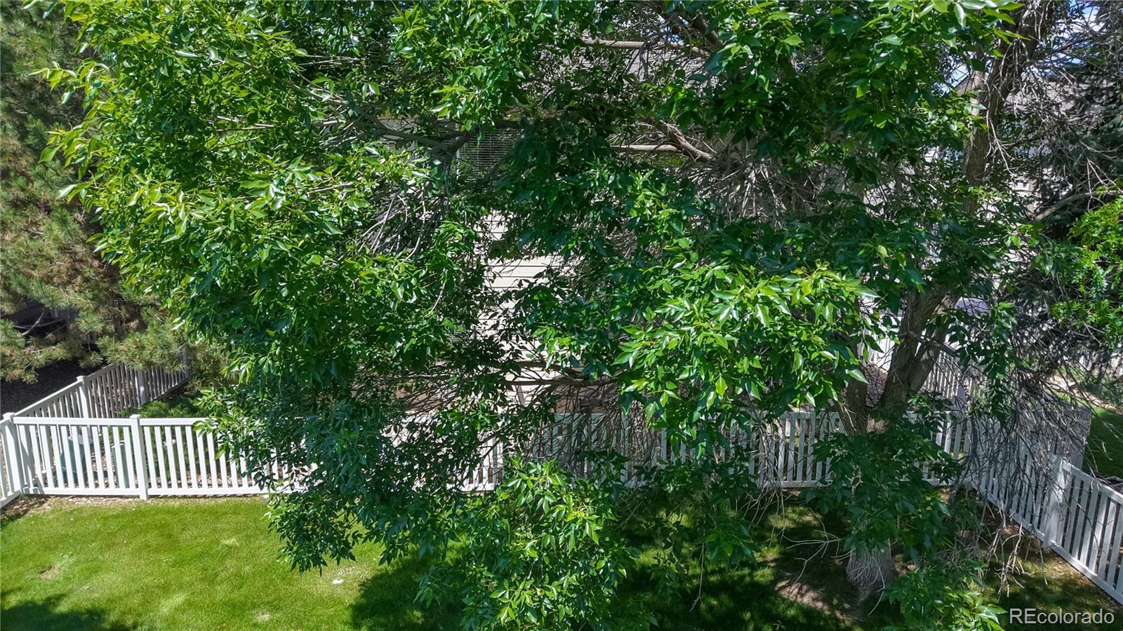 MLS Image #31 for 10532  madison street,thornton, Colorado
