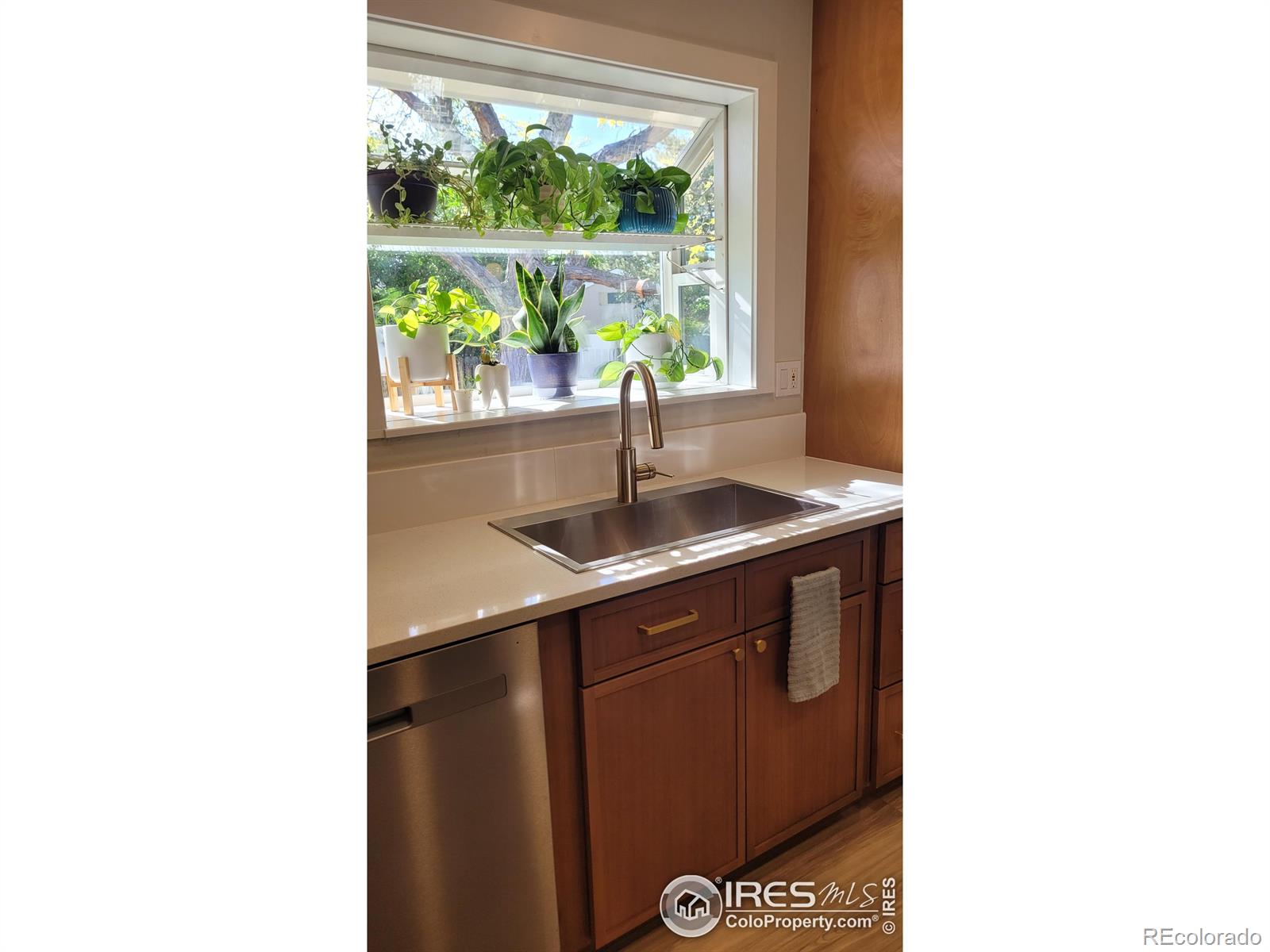 MLS Image #11 for 1087  lilac street,broomfield, Colorado
