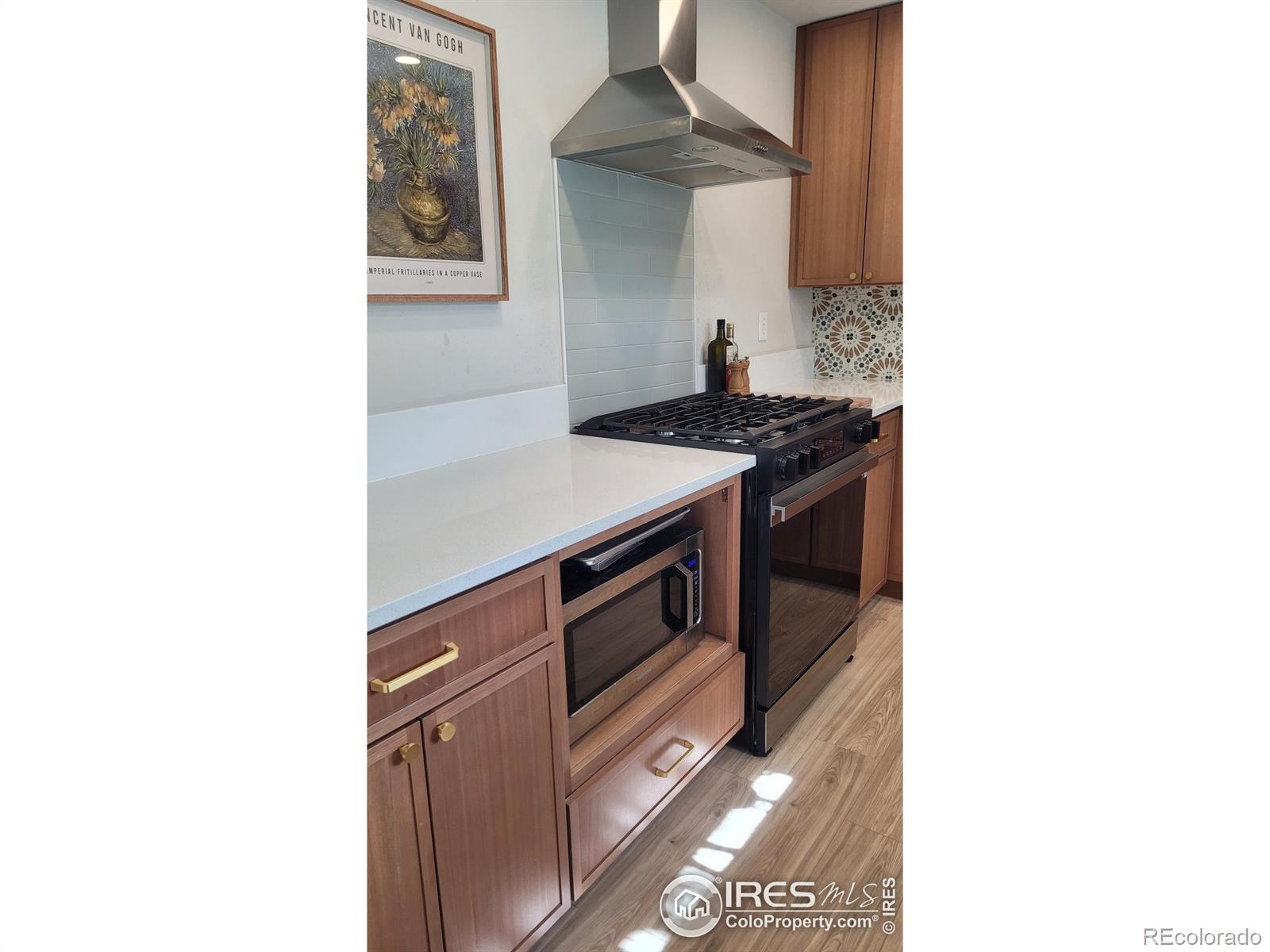 MLS Image #12 for 1087  lilac street,broomfield, Colorado