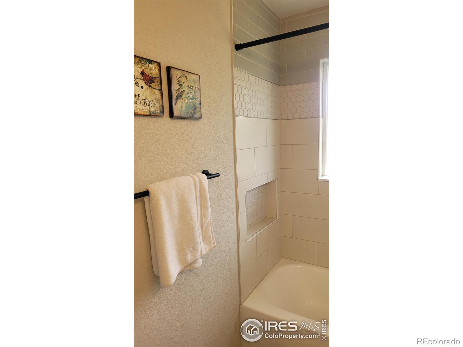 MLS Image #16 for 1087  lilac street,broomfield, Colorado