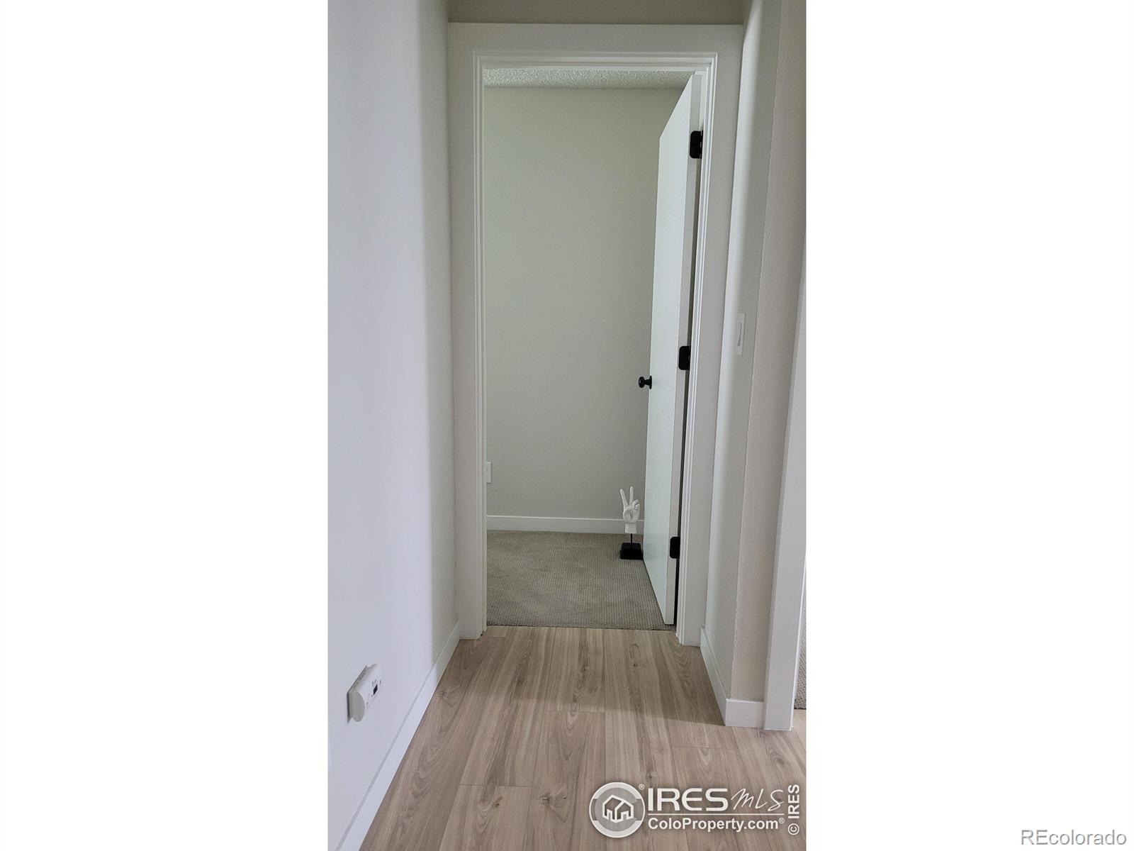 MLS Image #19 for 1087  lilac street,broomfield, Colorado