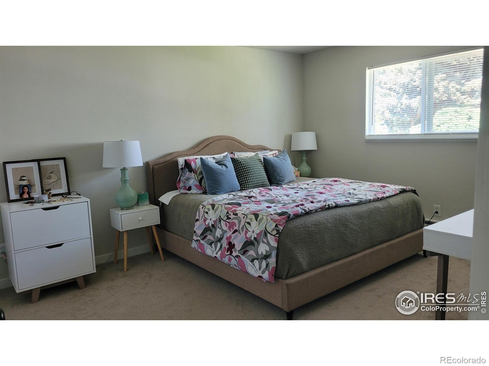 MLS Image #21 for 1087  lilac street,broomfield, Colorado