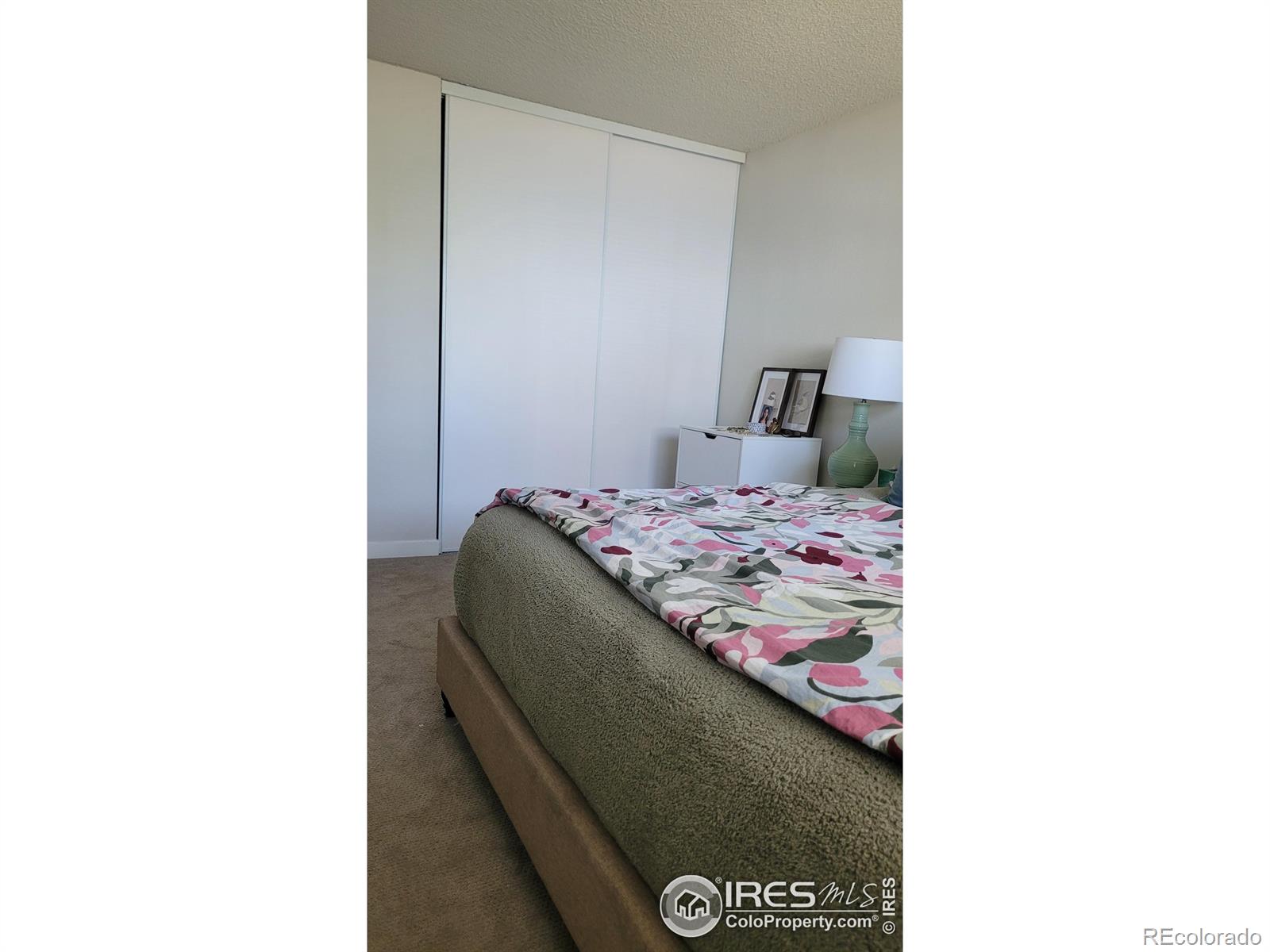 MLS Image #22 for 1087  lilac street,broomfield, Colorado