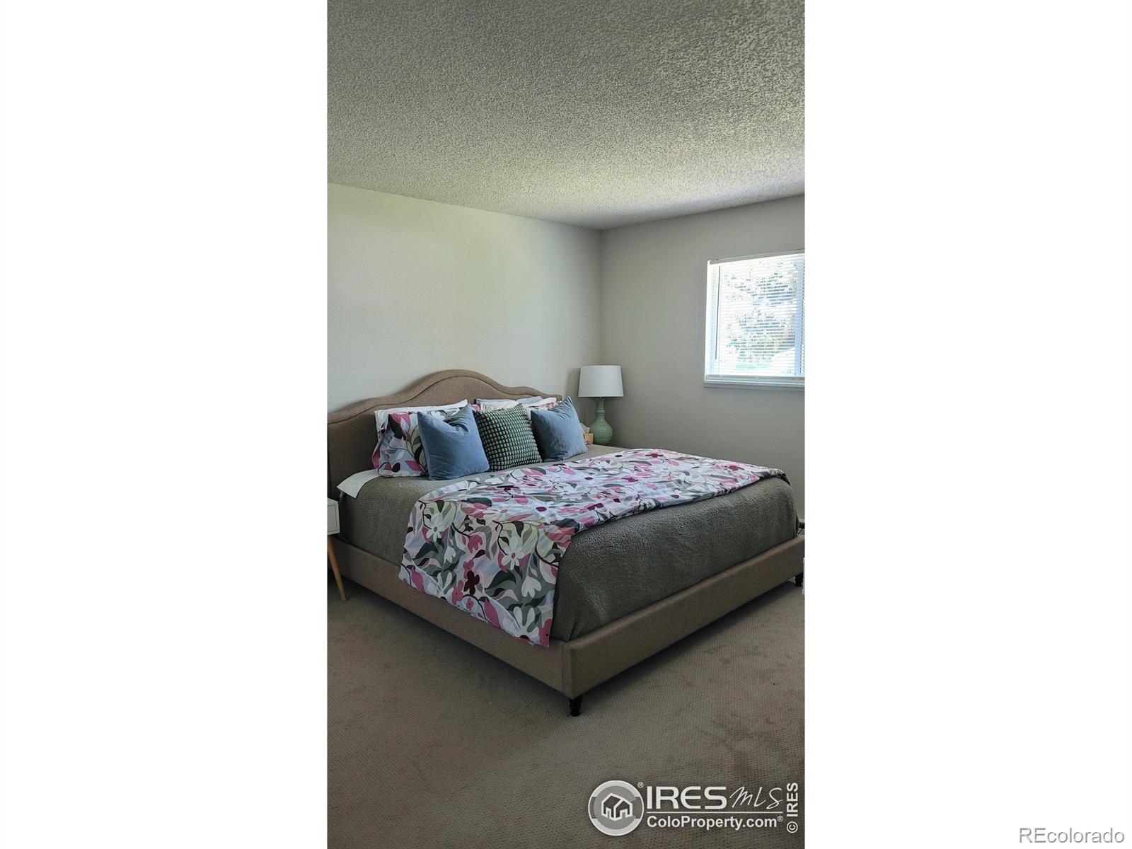 MLS Image #23 for 1087  lilac street,broomfield, Colorado
