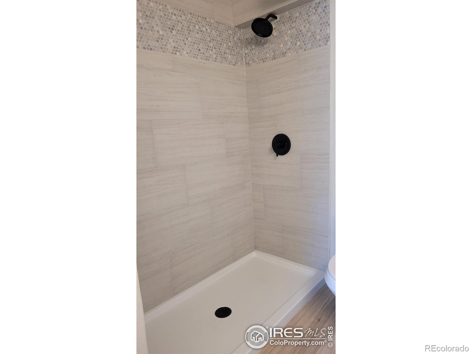MLS Image #29 for 1087  lilac street,broomfield, Colorado