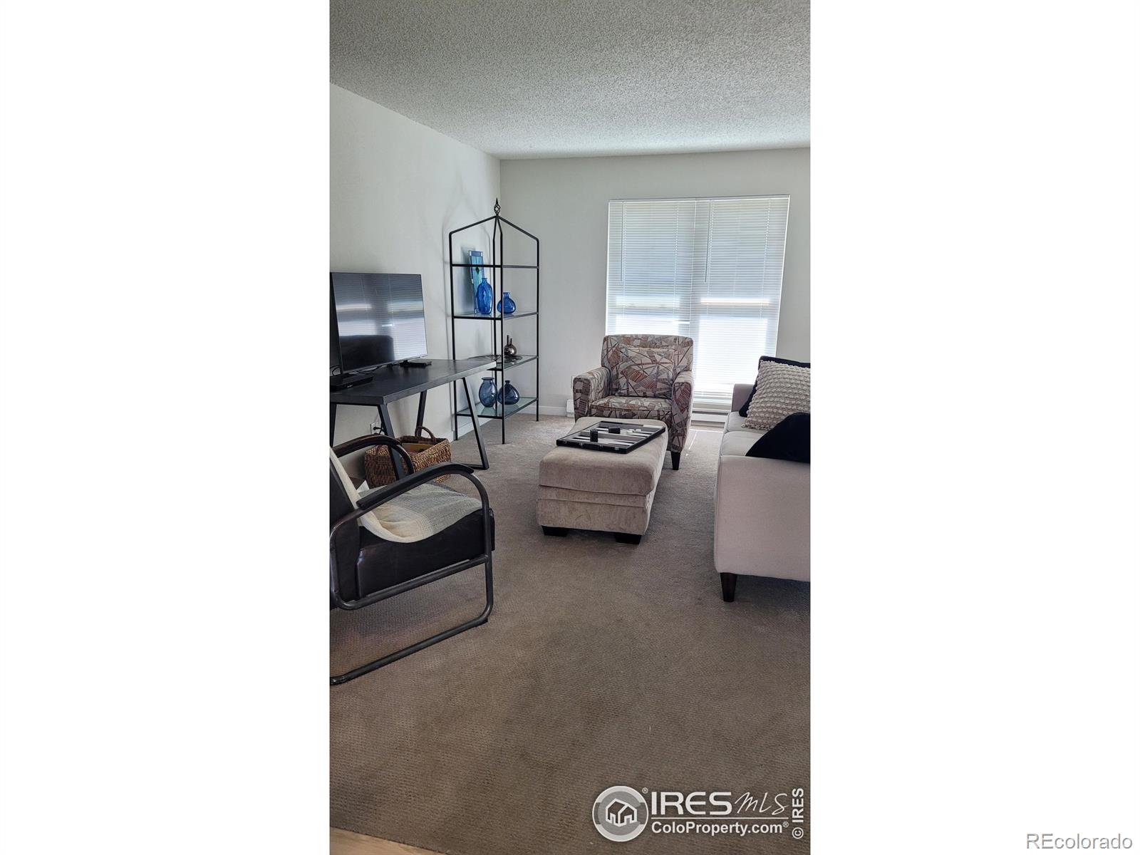 MLS Image #5 for 1087  lilac street,broomfield, Colorado