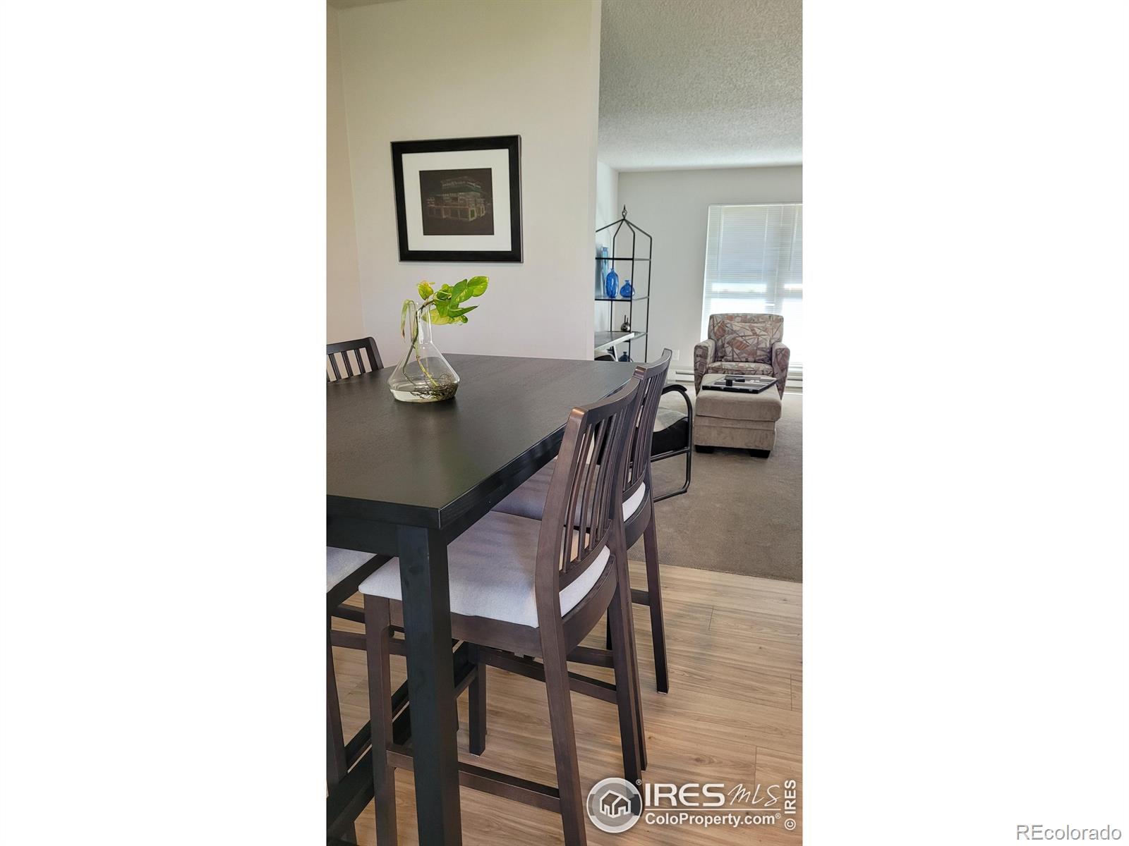 MLS Image #7 for 1087  lilac street,broomfield, Colorado