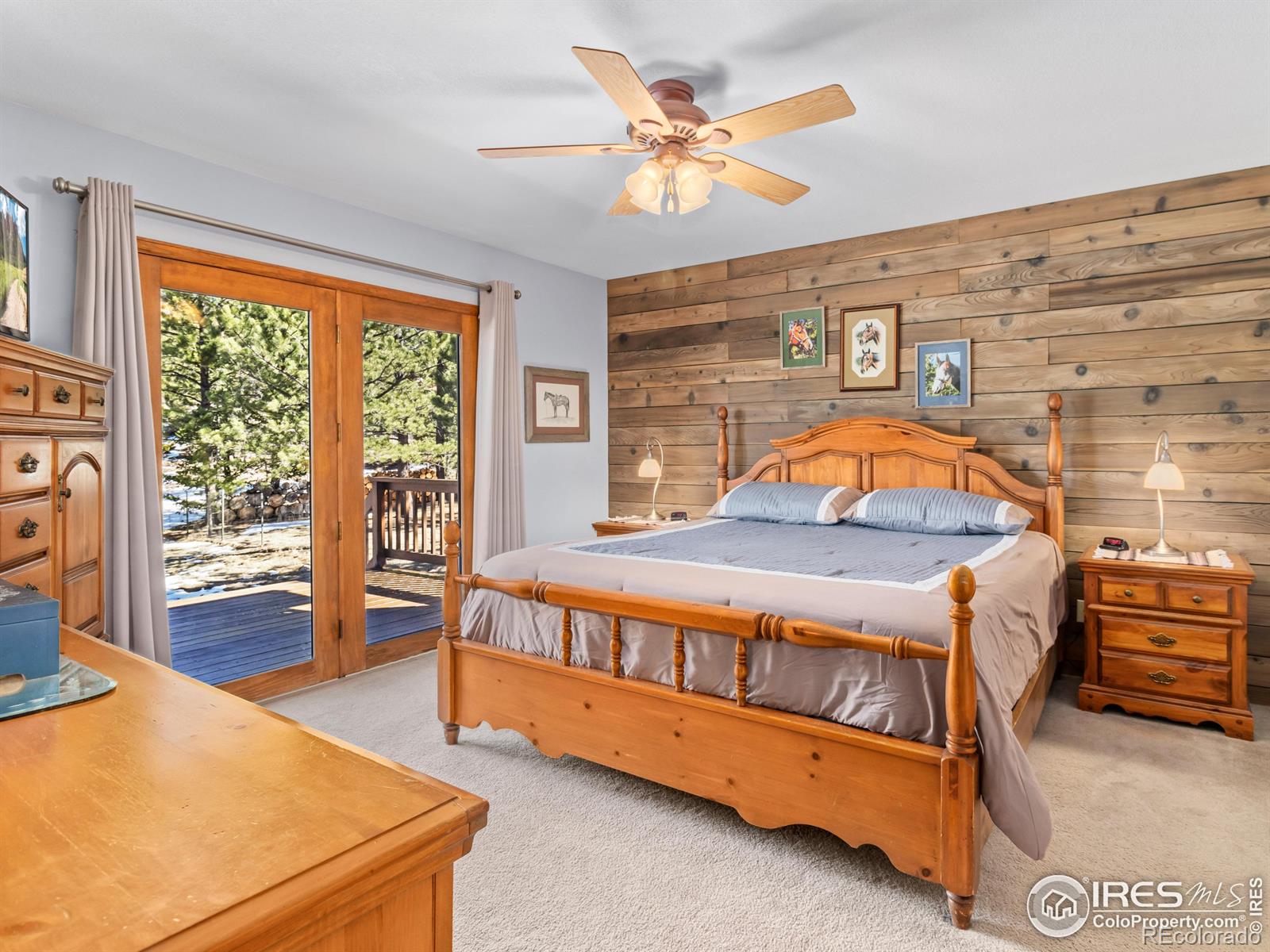 MLS Image #17 for 3807  dollar lake drive,estes park, Colorado