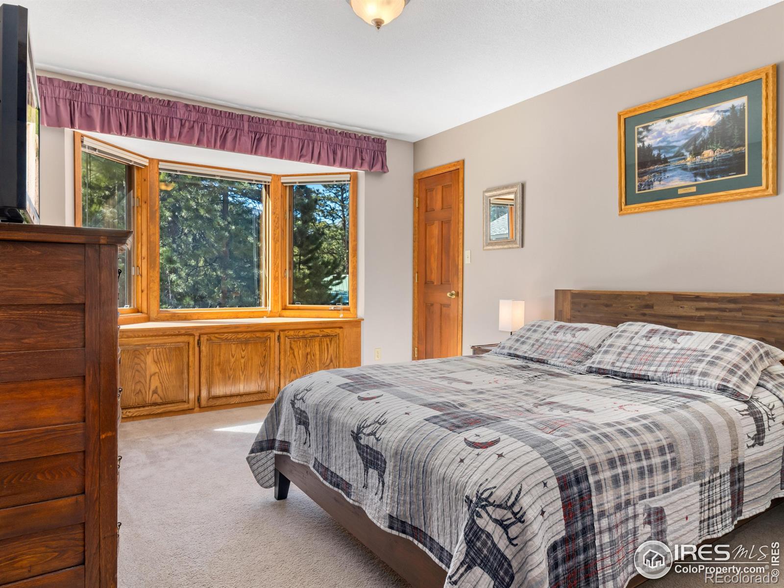 MLS Image #19 for 3807  dollar lake drive,estes park, Colorado