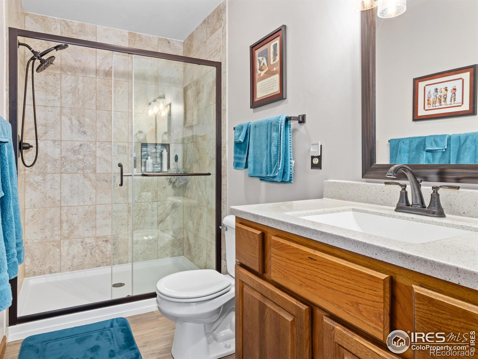 MLS Image #20 for 3807  dollar lake drive,estes park, Colorado