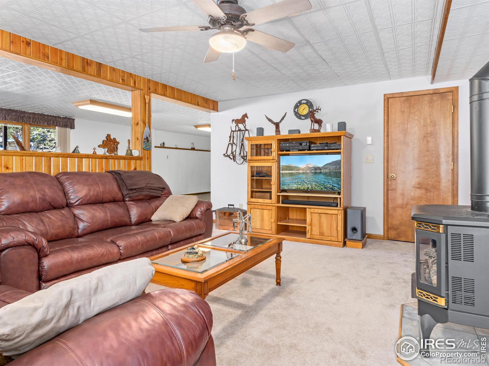 MLS Image #22 for 3807  dollar lake drive,estes park, Colorado